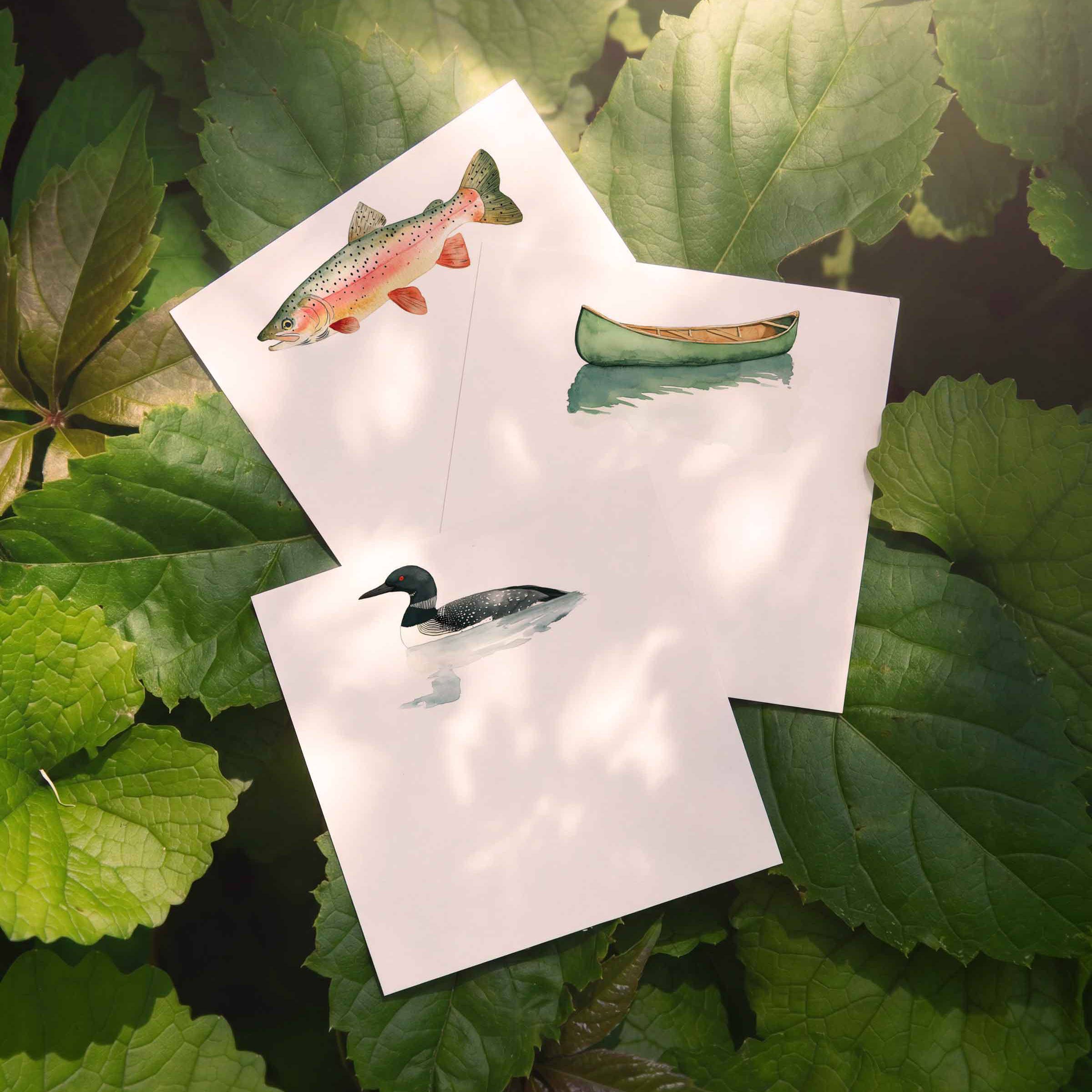 Rainbow Trout - Box of 50 Mini Notes