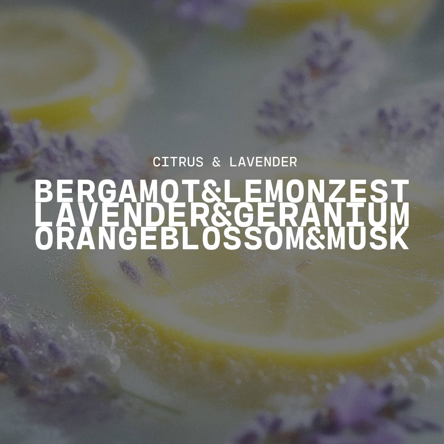 22 oz Butter Jar Candle: Citrus & Lavender
