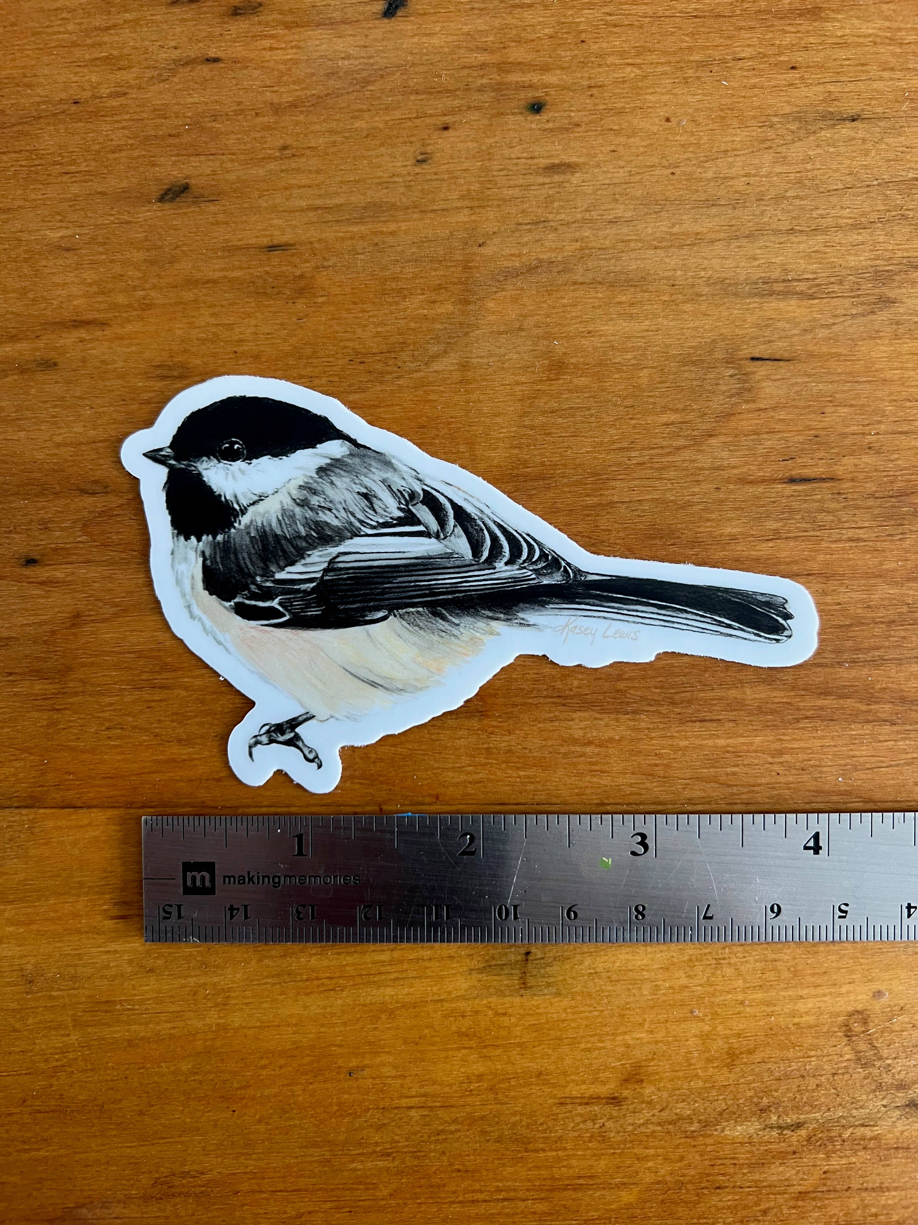Black Capped Chickadee / Vinyl Sticker