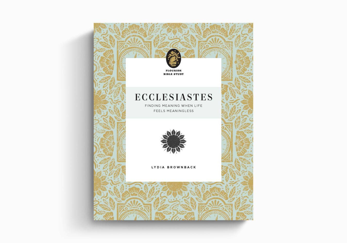 Ecclesiastes: Finding Meaning When Life Feels Meaningless