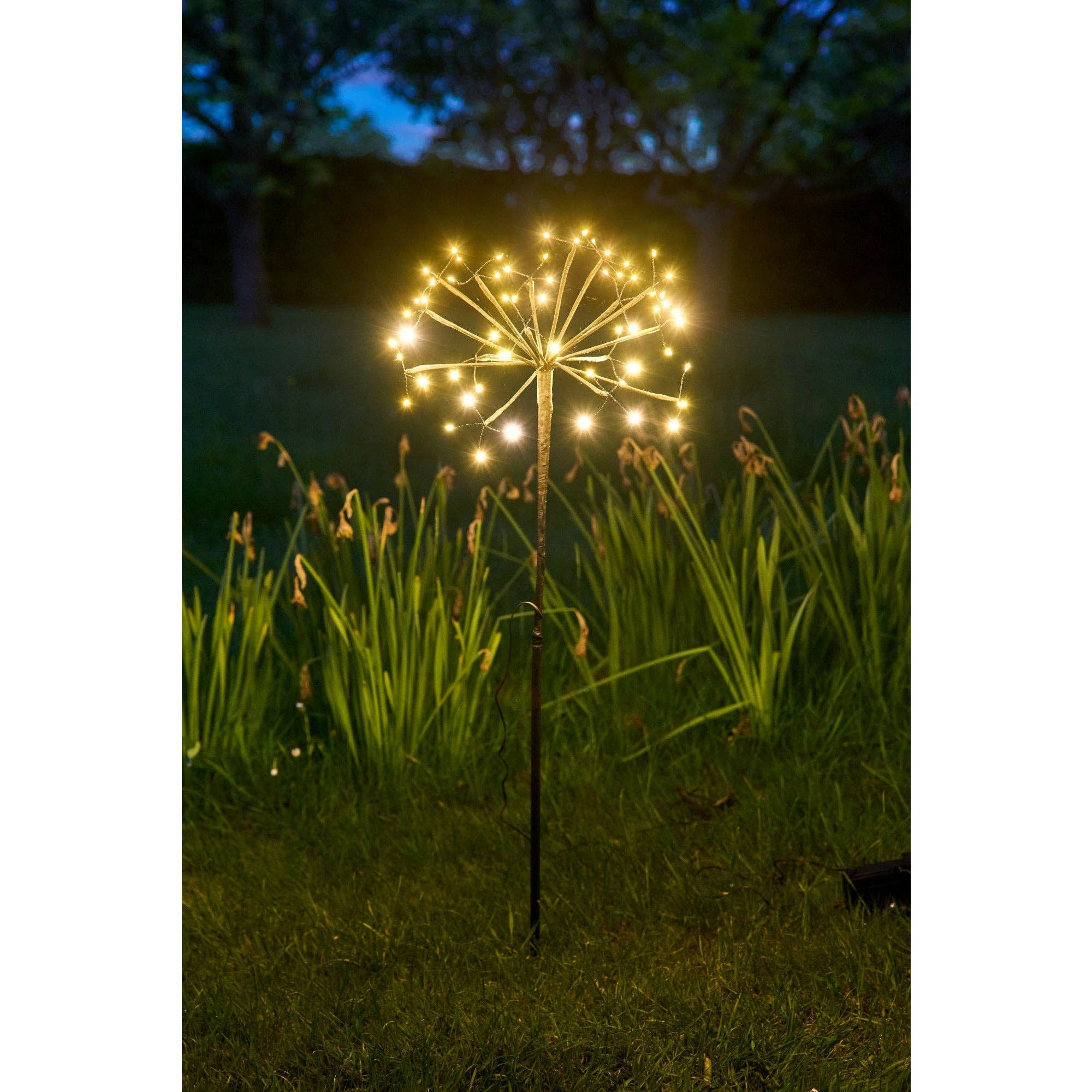 Solar Dandelion Lights