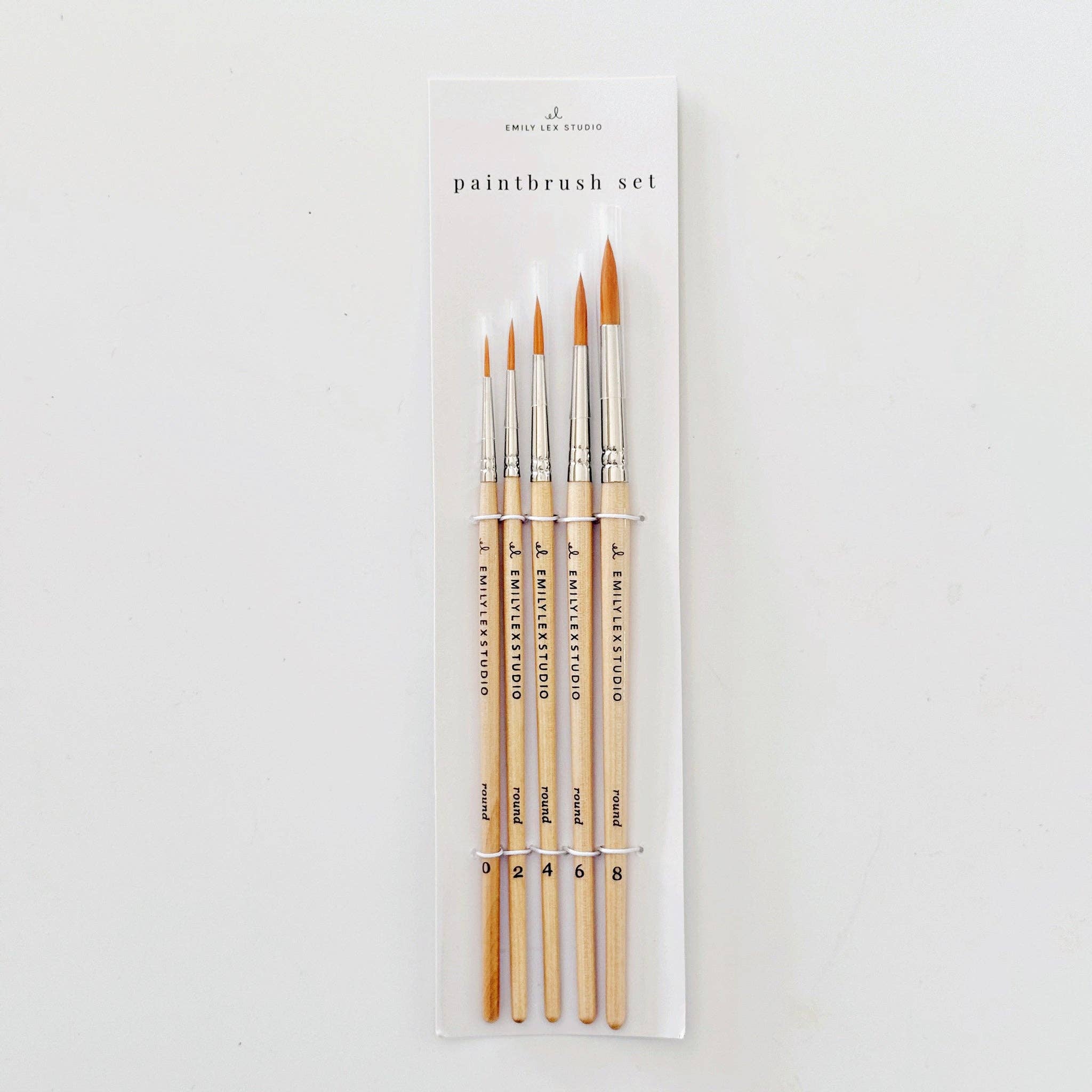 Watercolor paintbrush set of five wood brushes