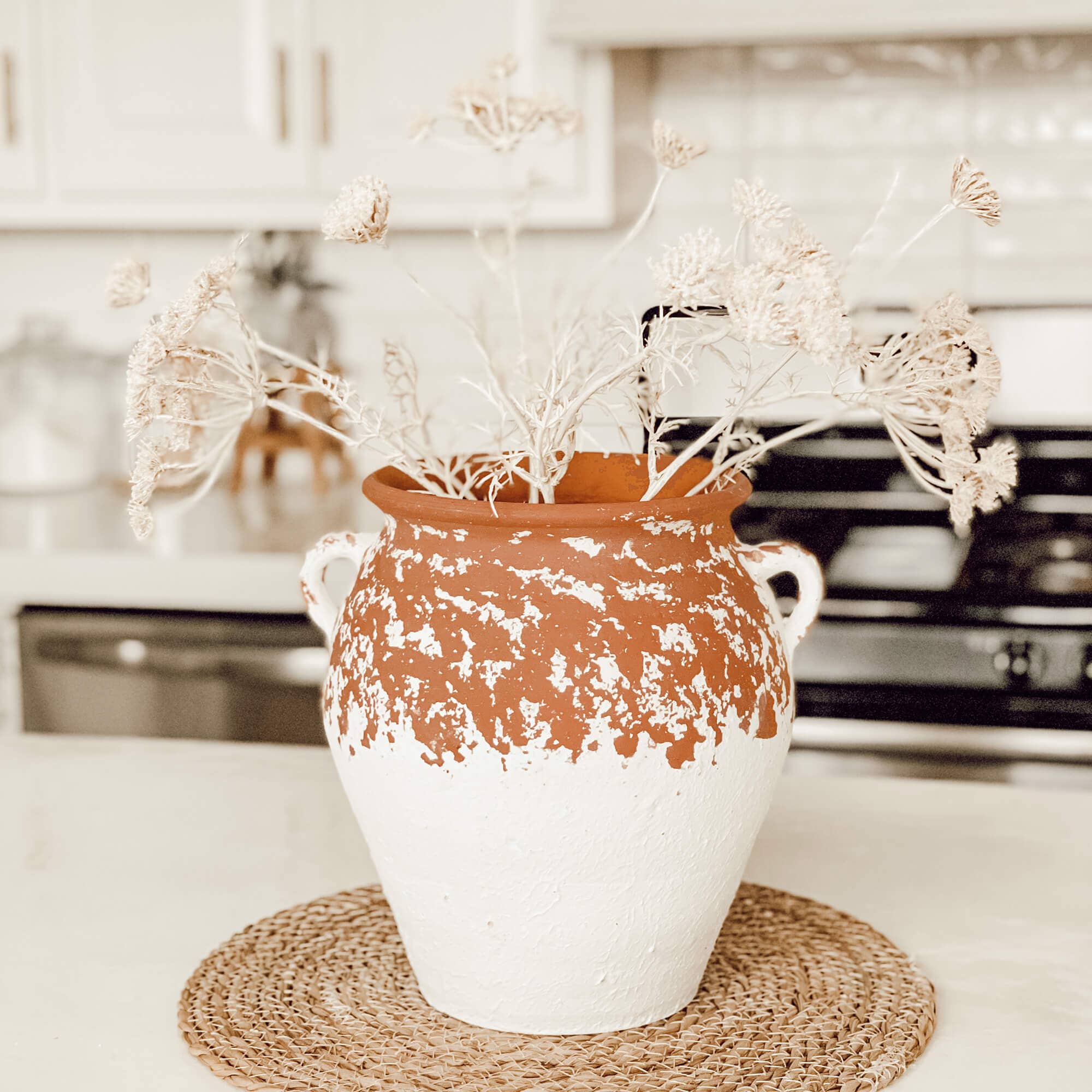 CREAM QUEEN ANNE'S LACE SPRAY
