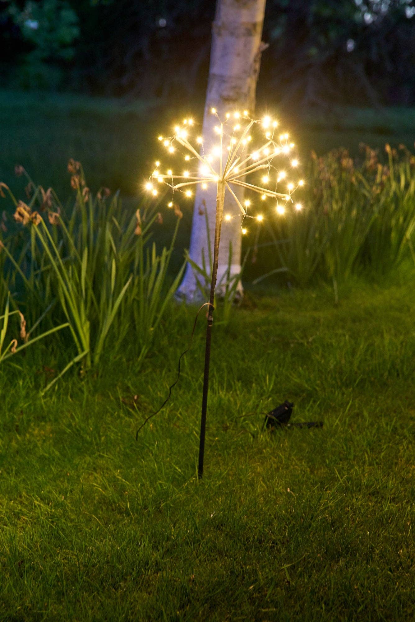 Solar Dandelion Lights