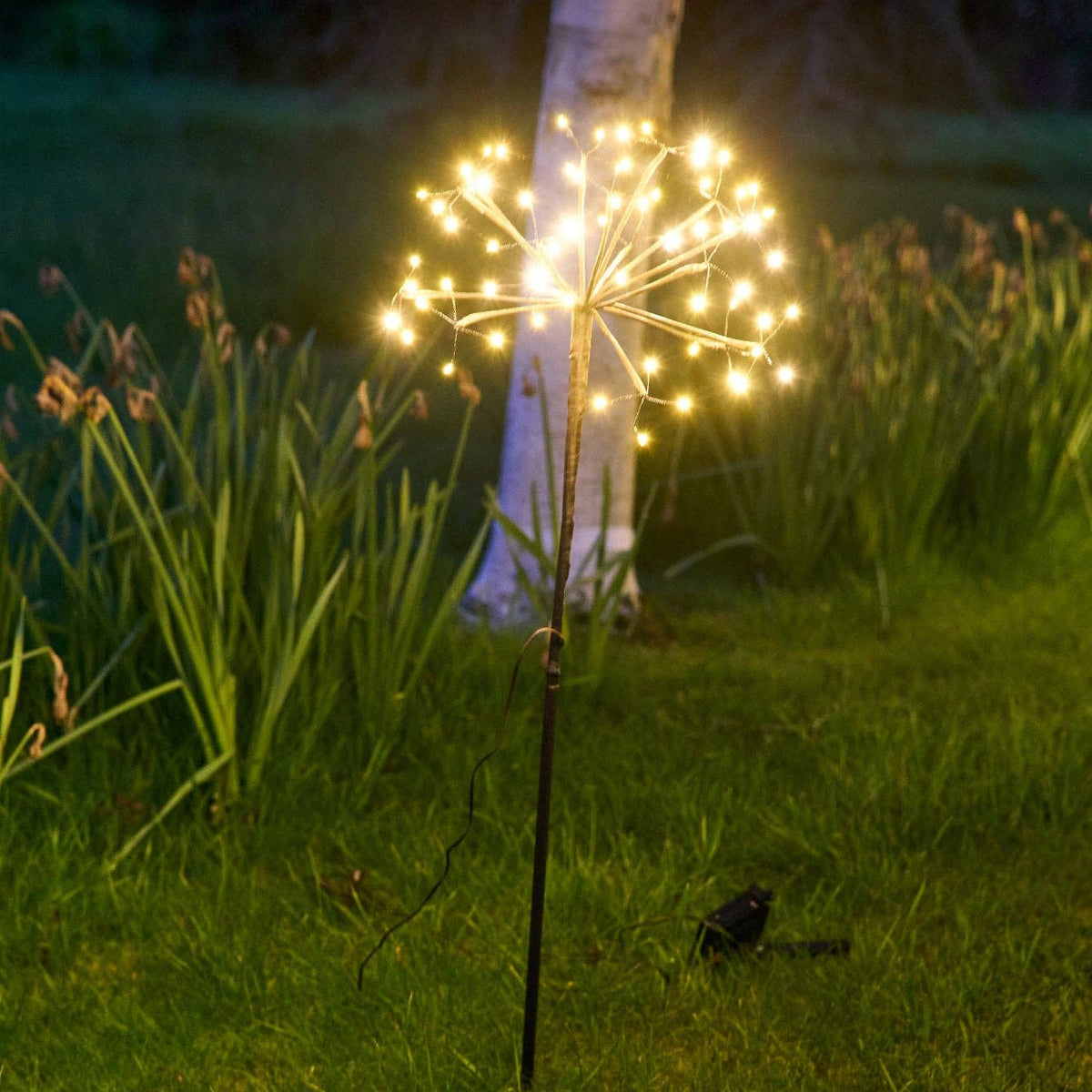 Solar Dandelion Lights