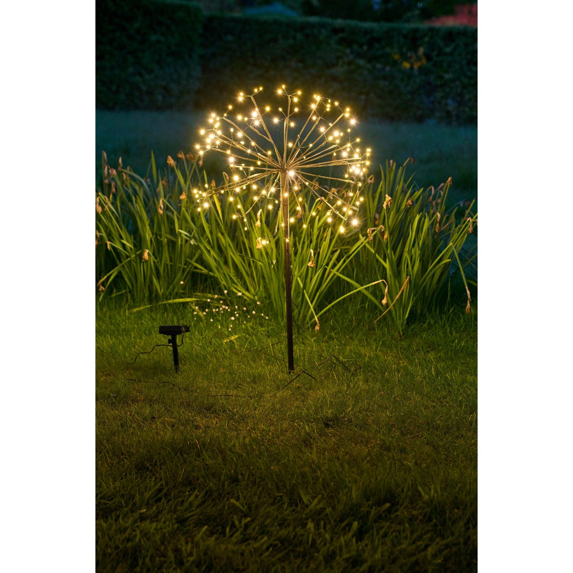 Solar Dandelion Lights
