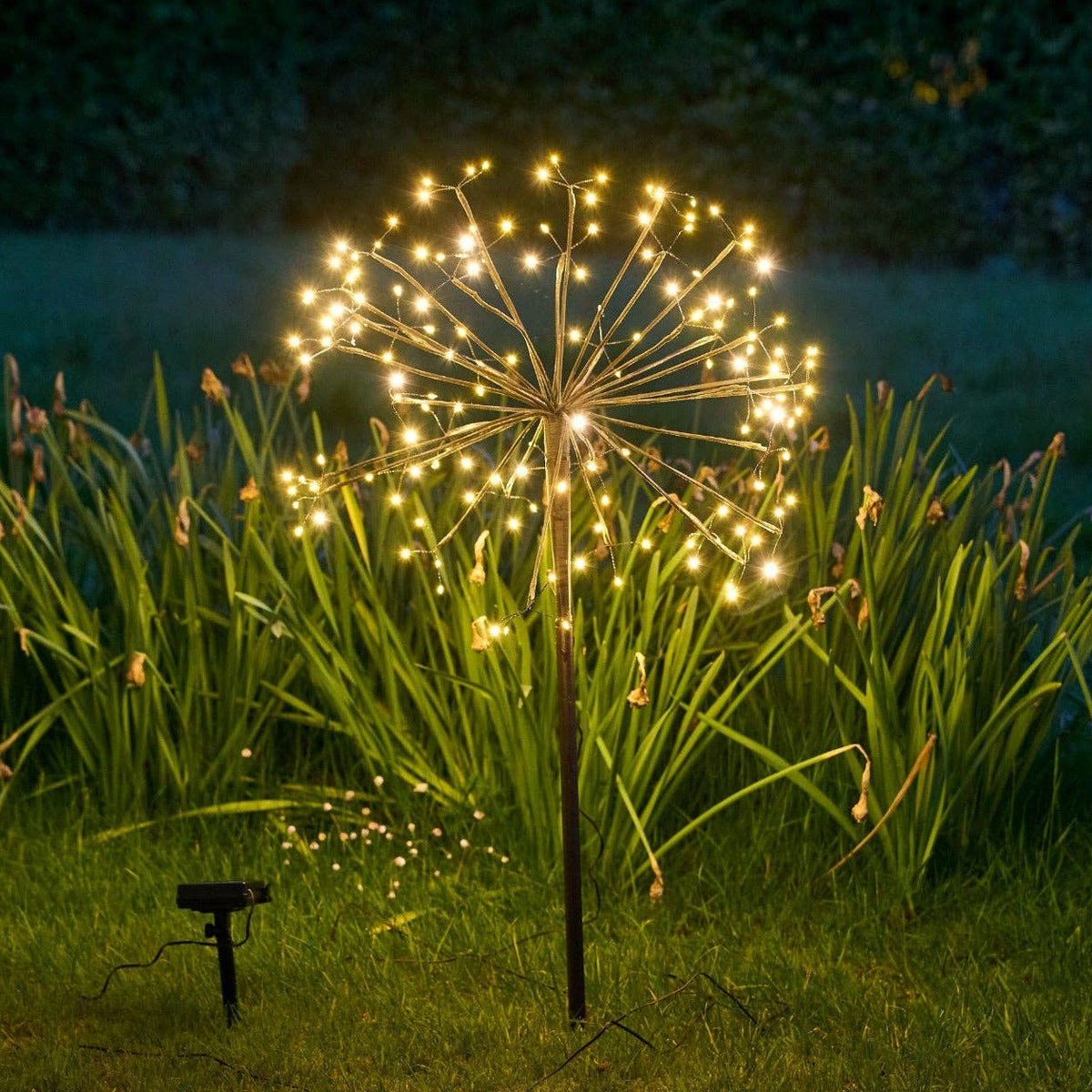Solar Dandelion Lights