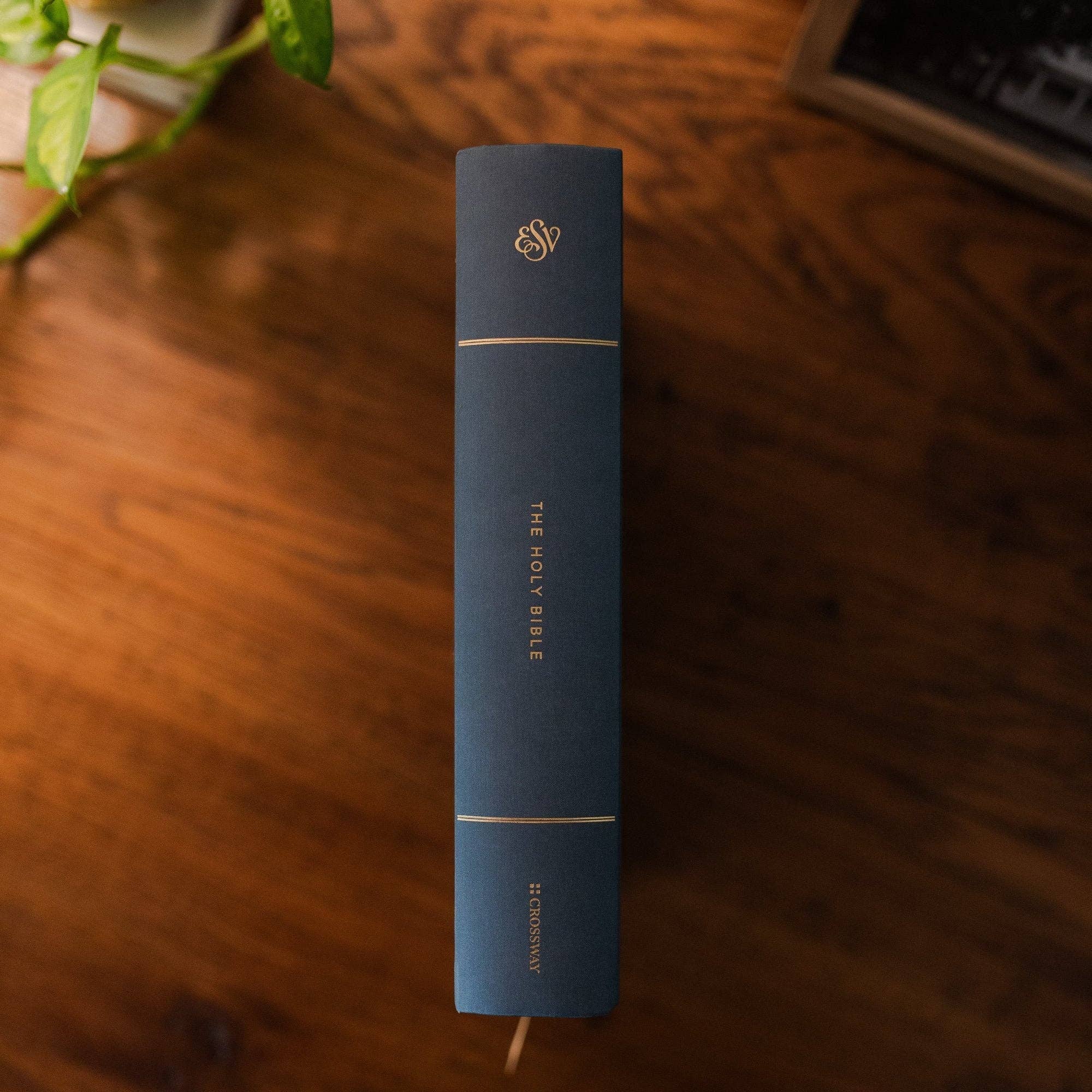 ESV Large Print Single Column Journaling Bible | Lantana