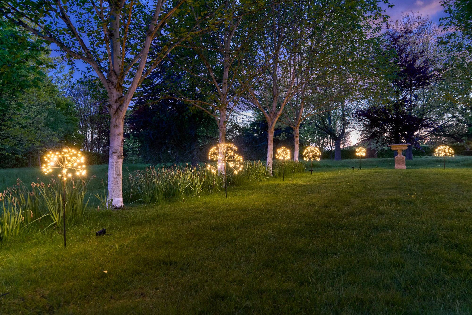 Solar Dandelion Lights