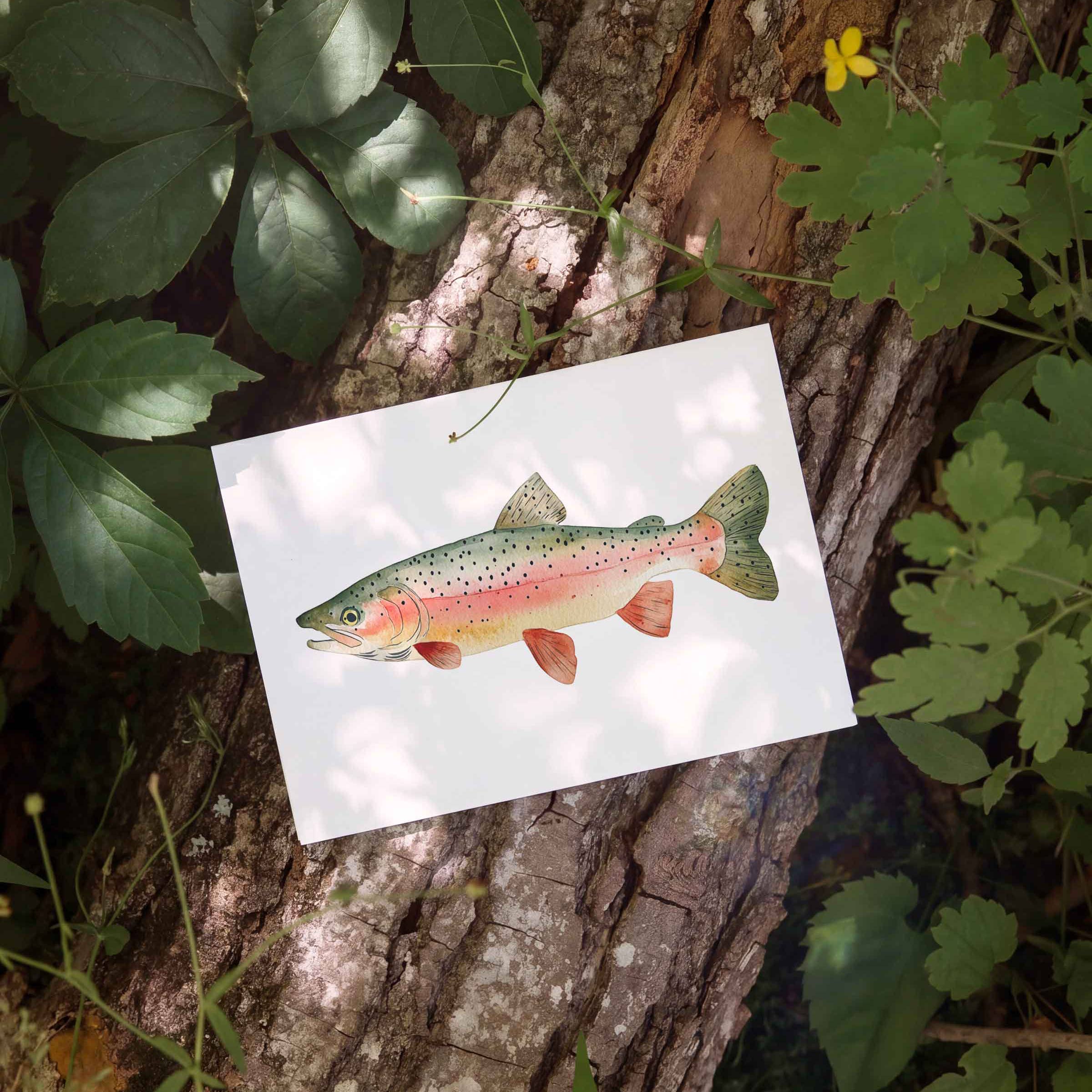 Rainbow Trout - Single Sleeved Note Card