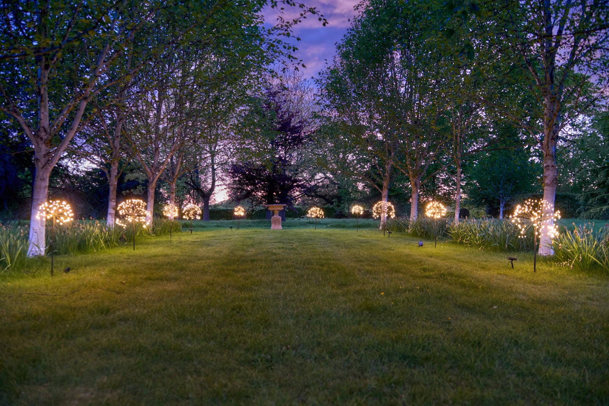 Solar Dandelion Lights