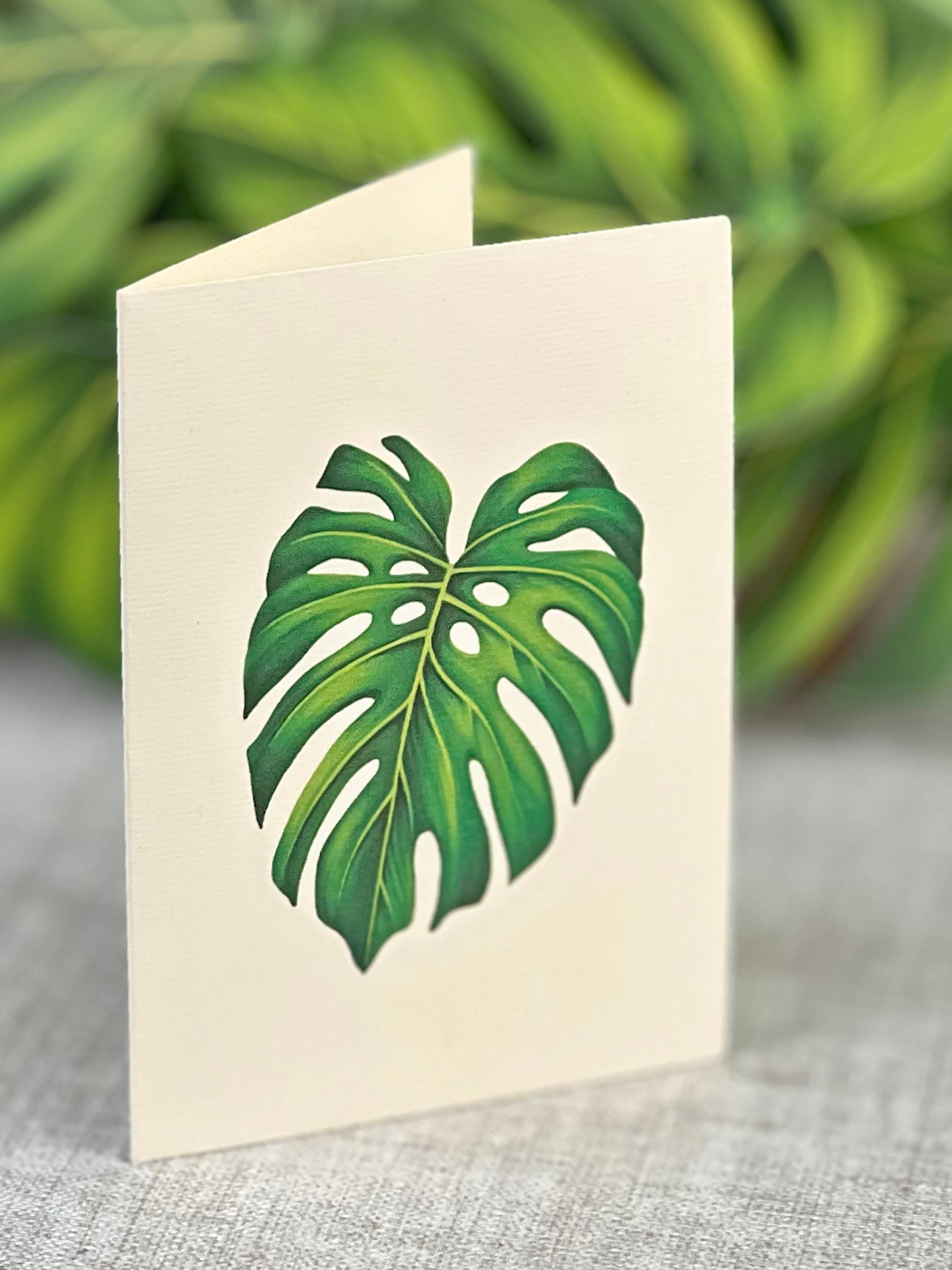 Monstera Plant (Pop-up Greeting Card)