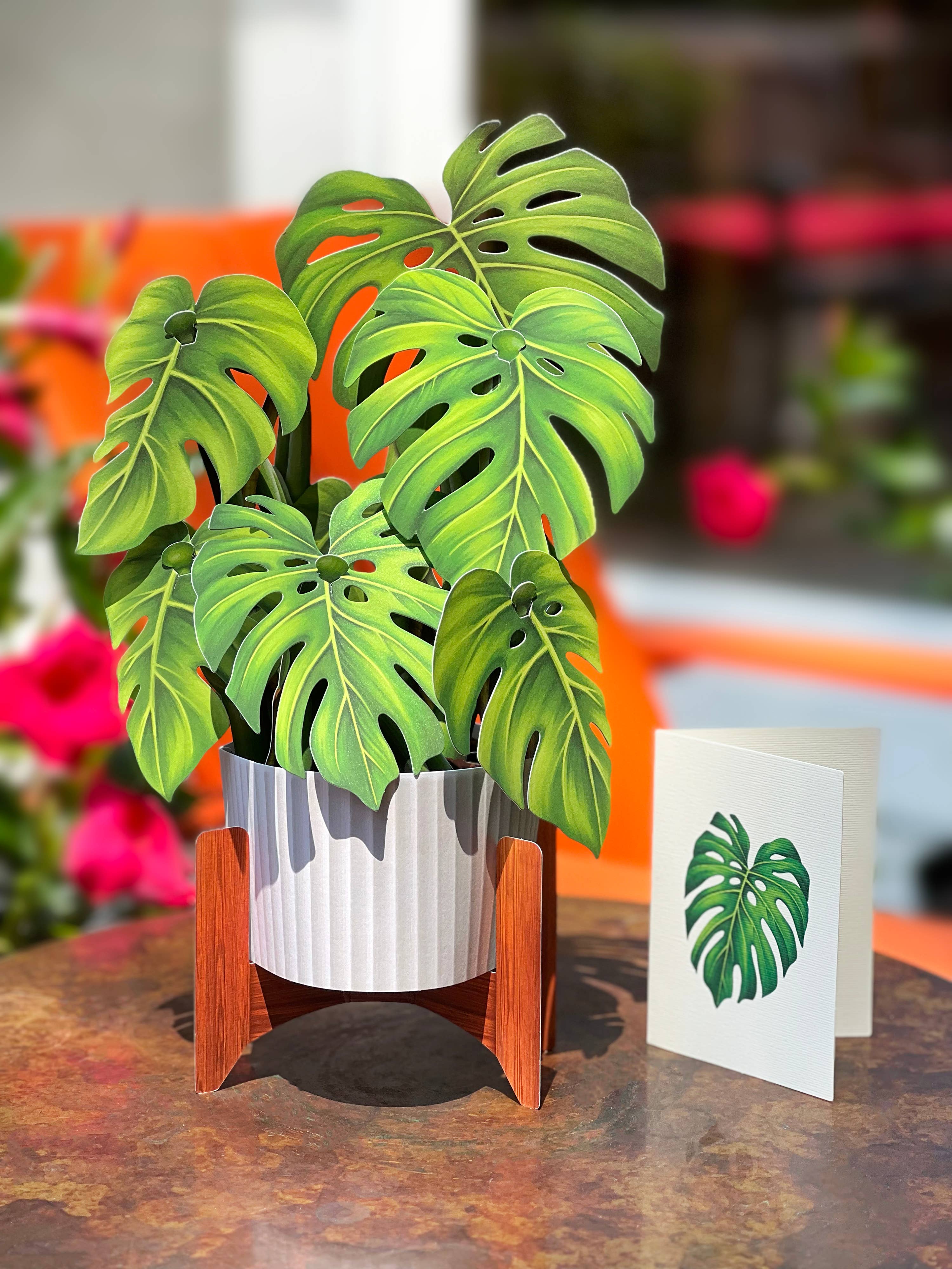 Monstera Plant (Pop-up Greeting Card)