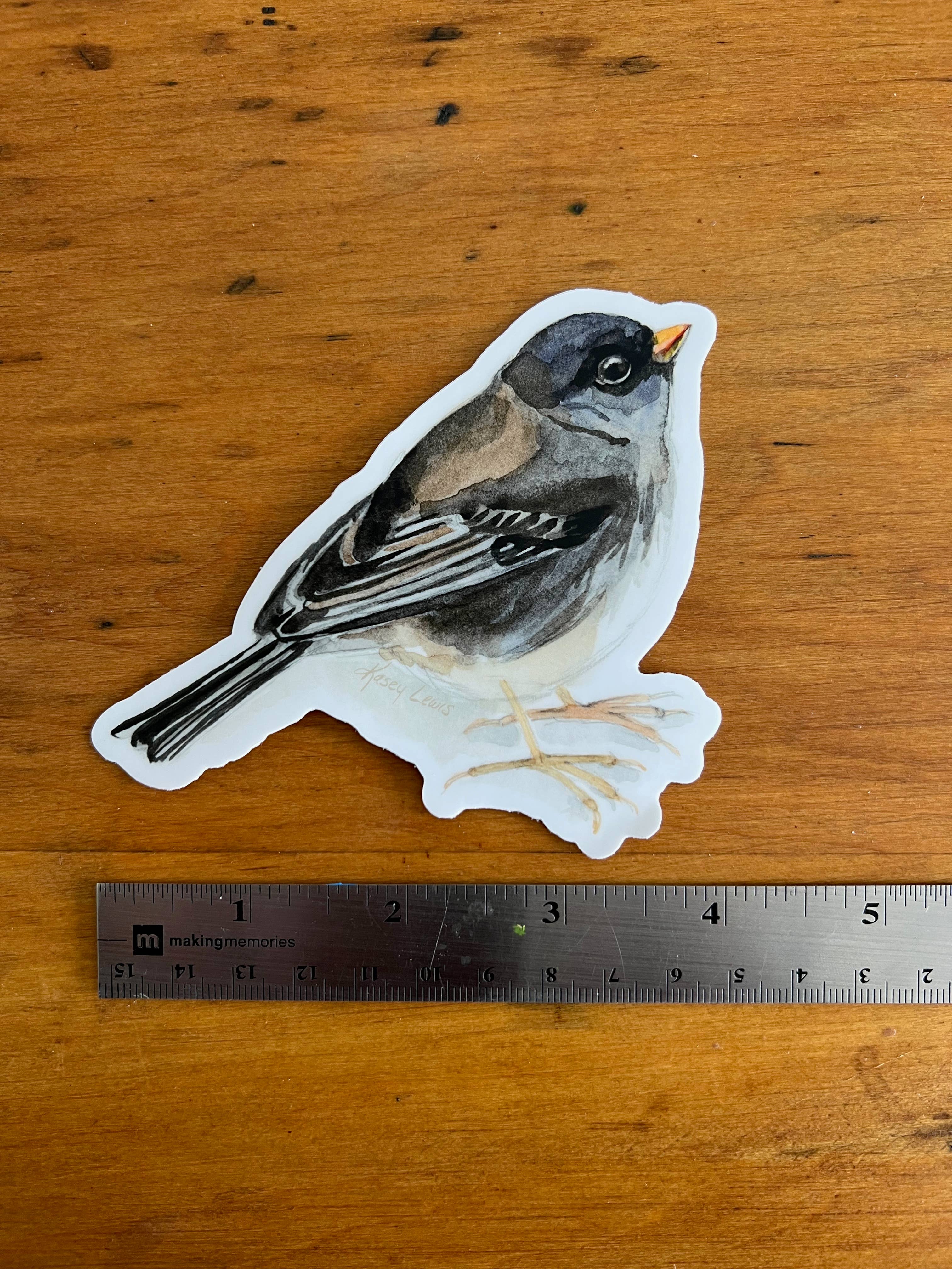 Dark Eyed Junco / Vinyl Sticker