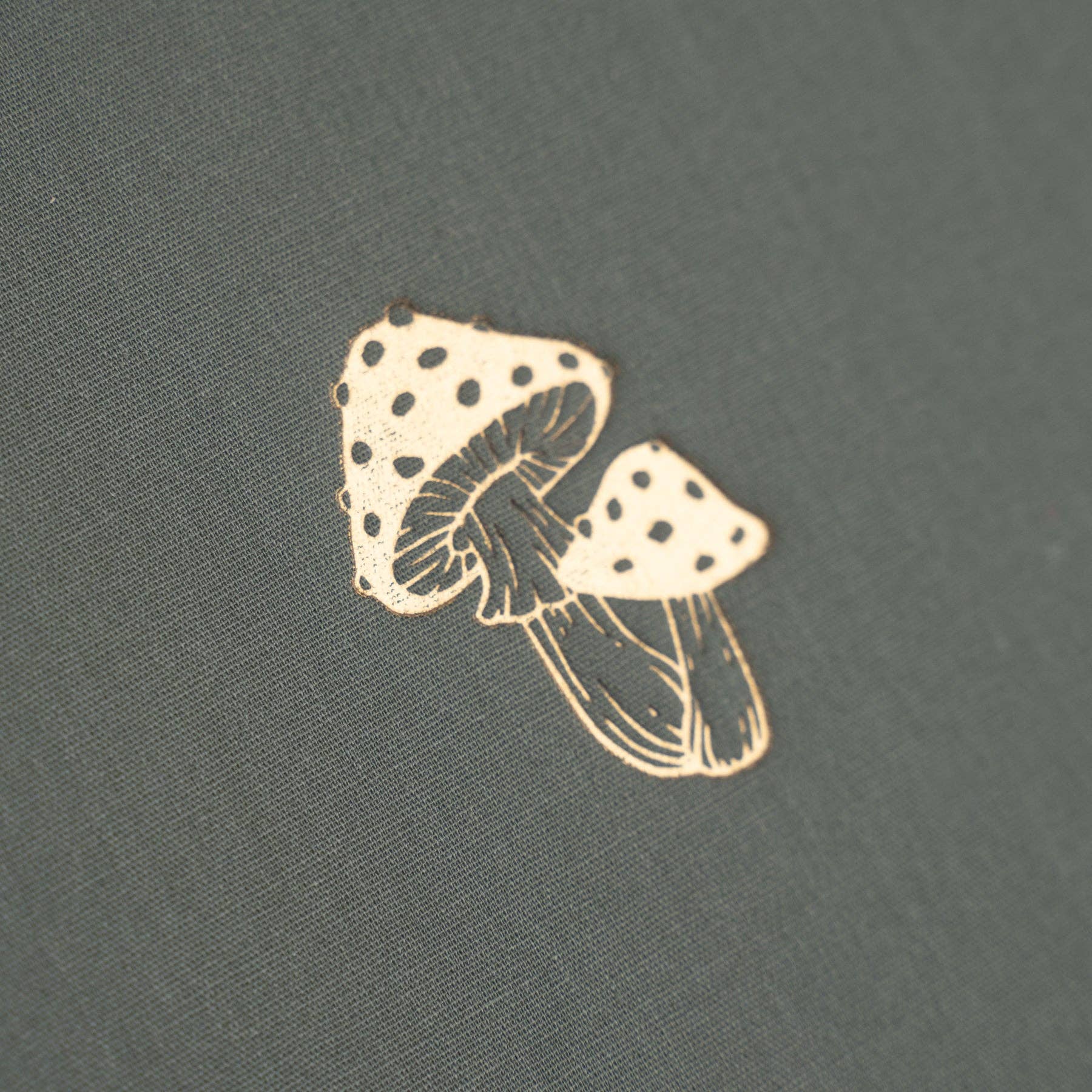 Limited Edition SQ: Mushrooms