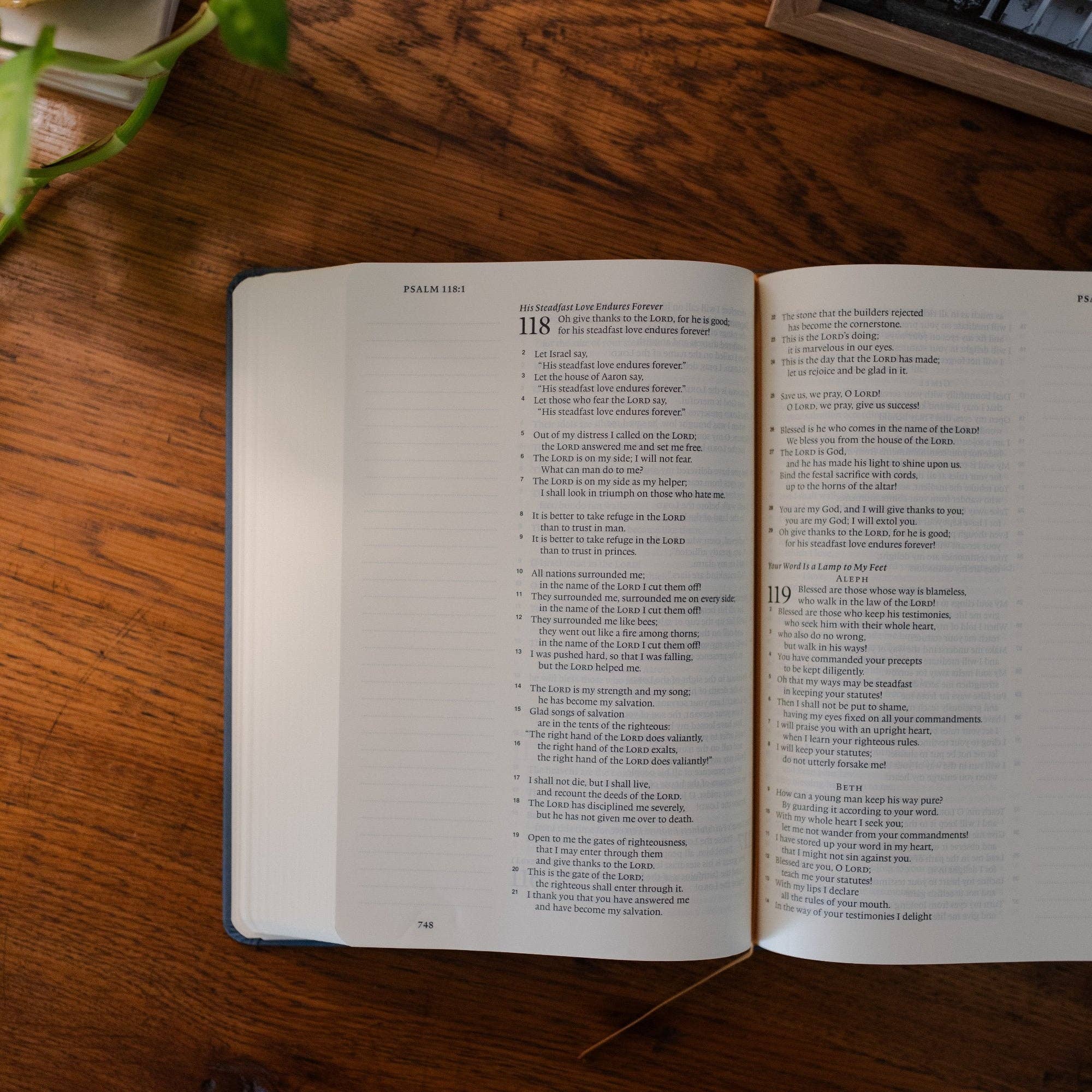 ESV Large Print Single Column Journaling Bible | Lantana