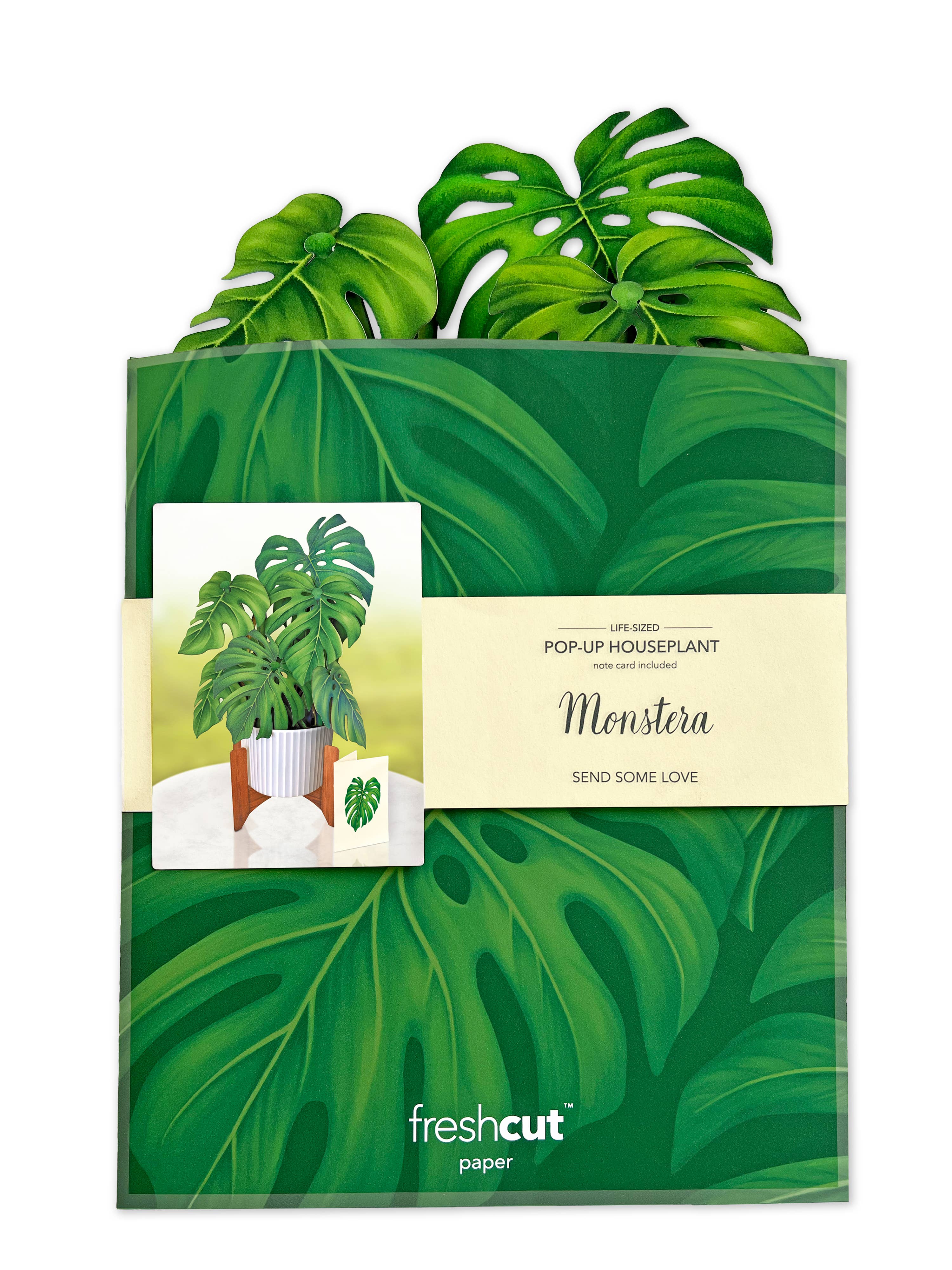 Monstera Plant (Pop-up Greeting Card)