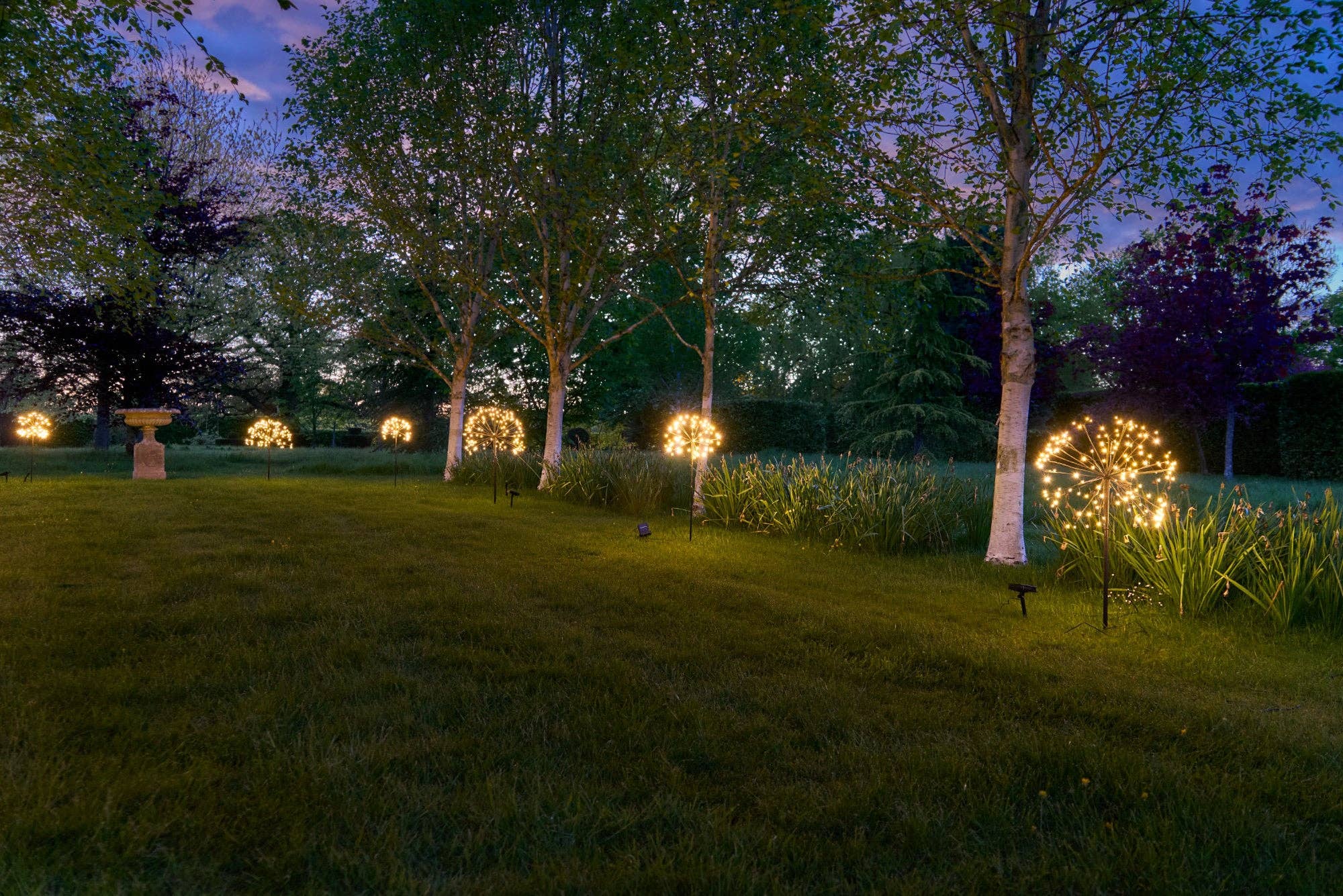 Solar Dandelion Lights
