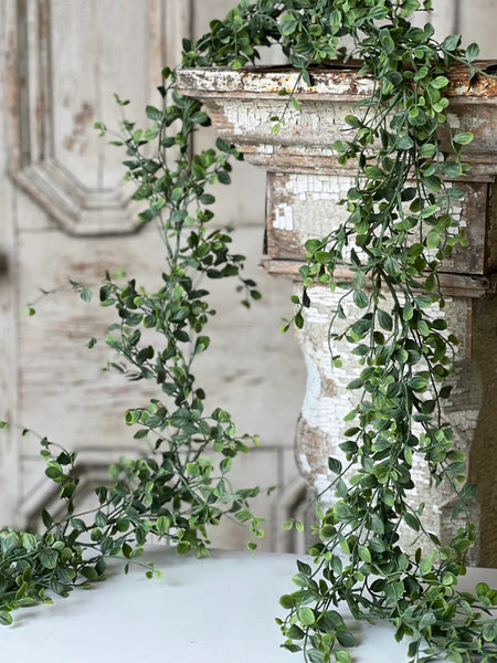 Seraph Vine Garland | 6'
