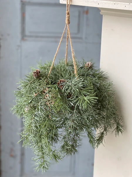 Shining Spindle Pine Hanging Basket | 13"