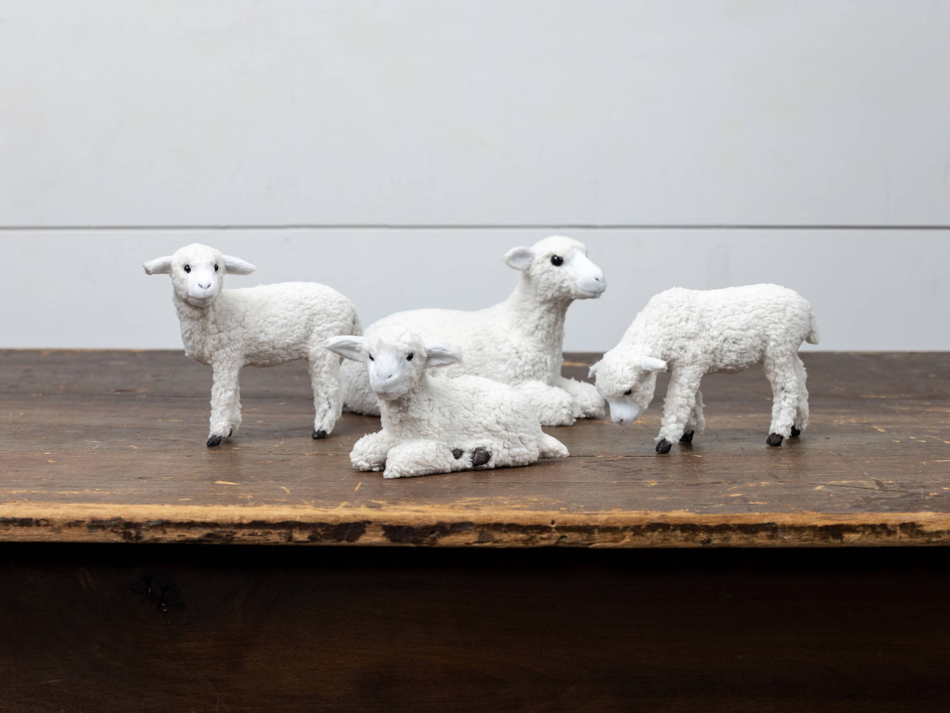 5.25" RESTING LAMB