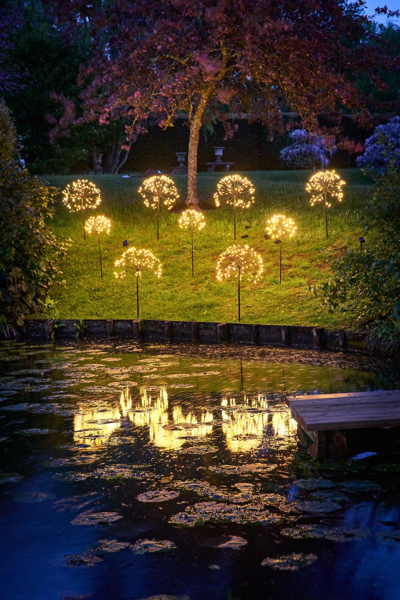 Solar Dandelion Lights