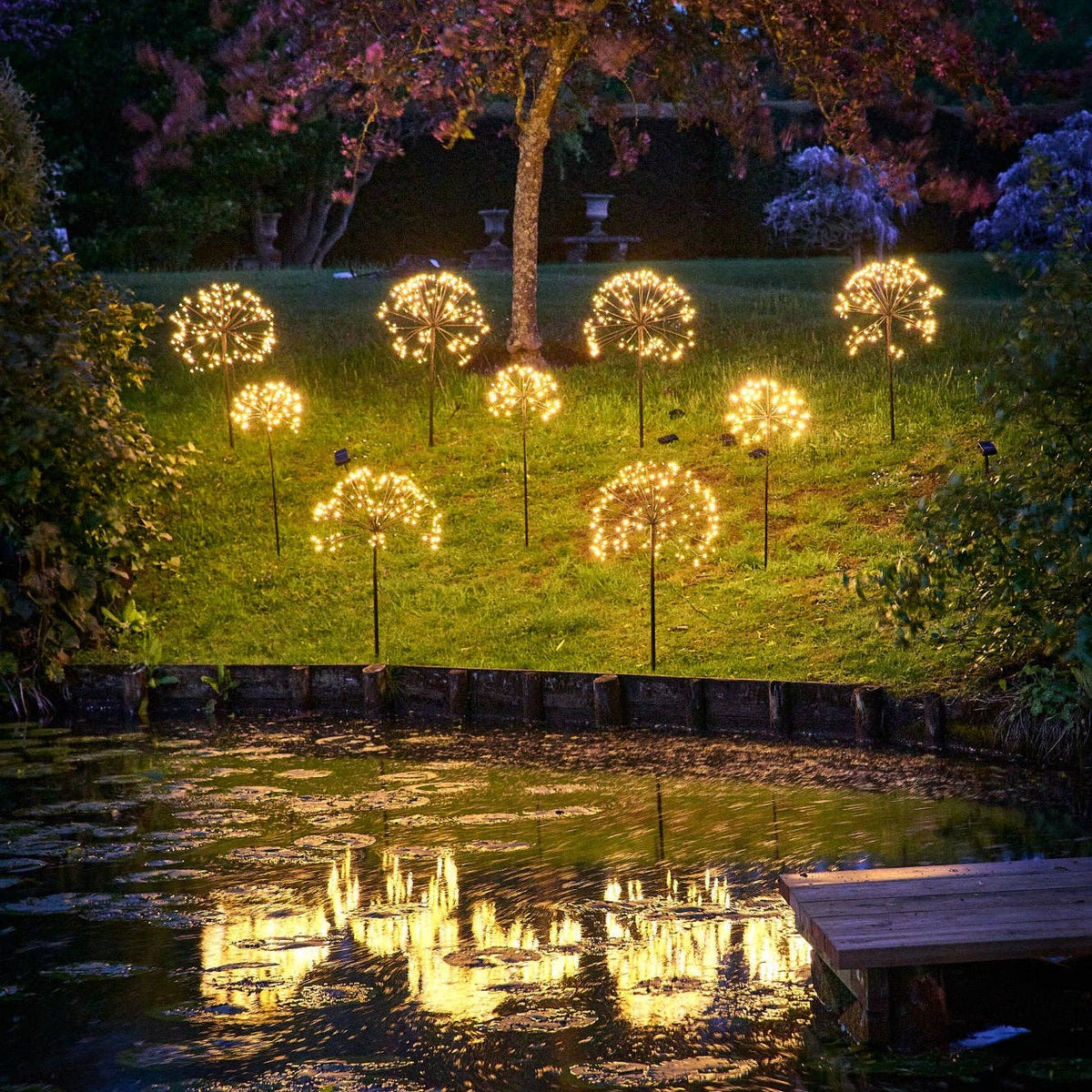 Solar Dandelion Lights
