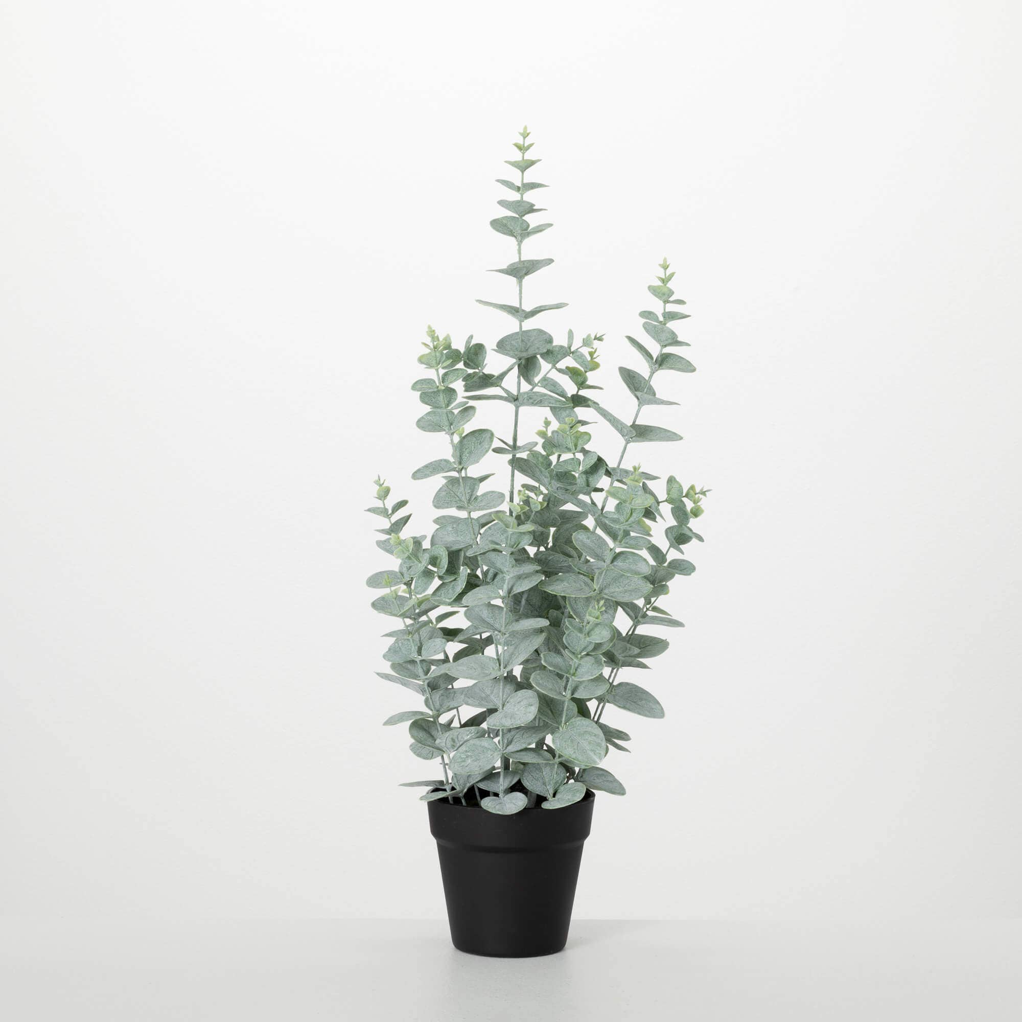 small eucalyptus plant indoor SULLIVANS 2 ft. 3 in. Artificial Silk Small Eucalyptus Tree in Pot