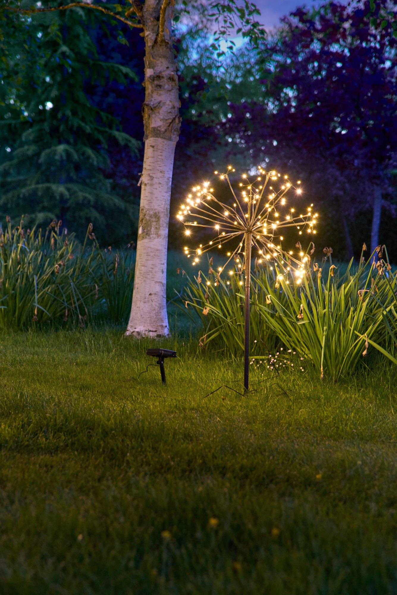 Solar Dandelion Light