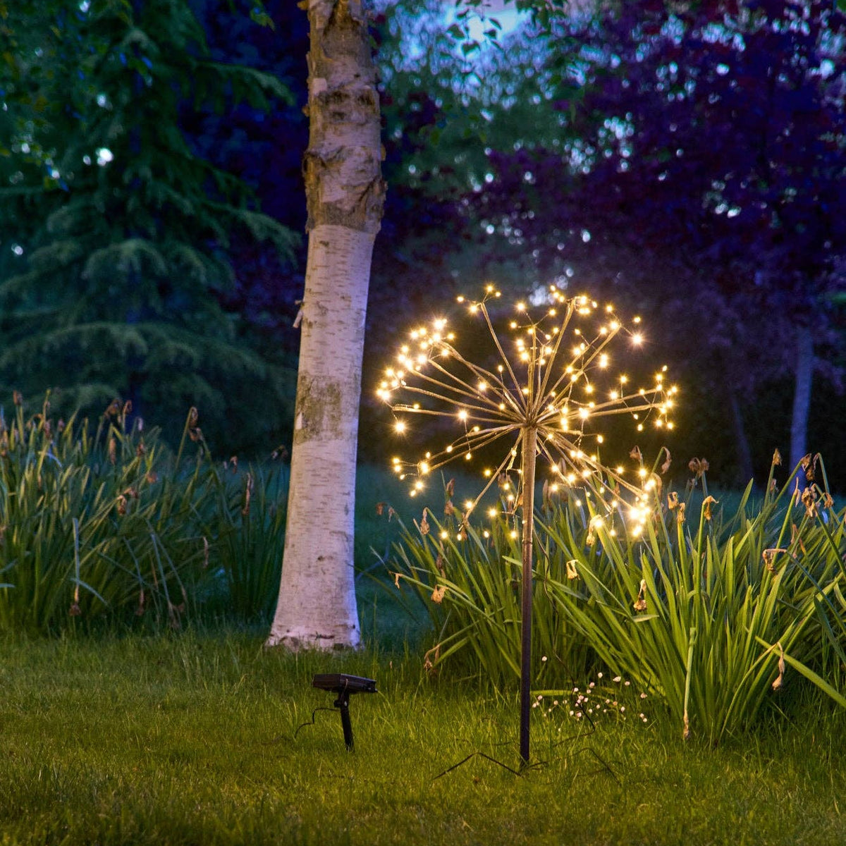 Solar Dandelion Lights