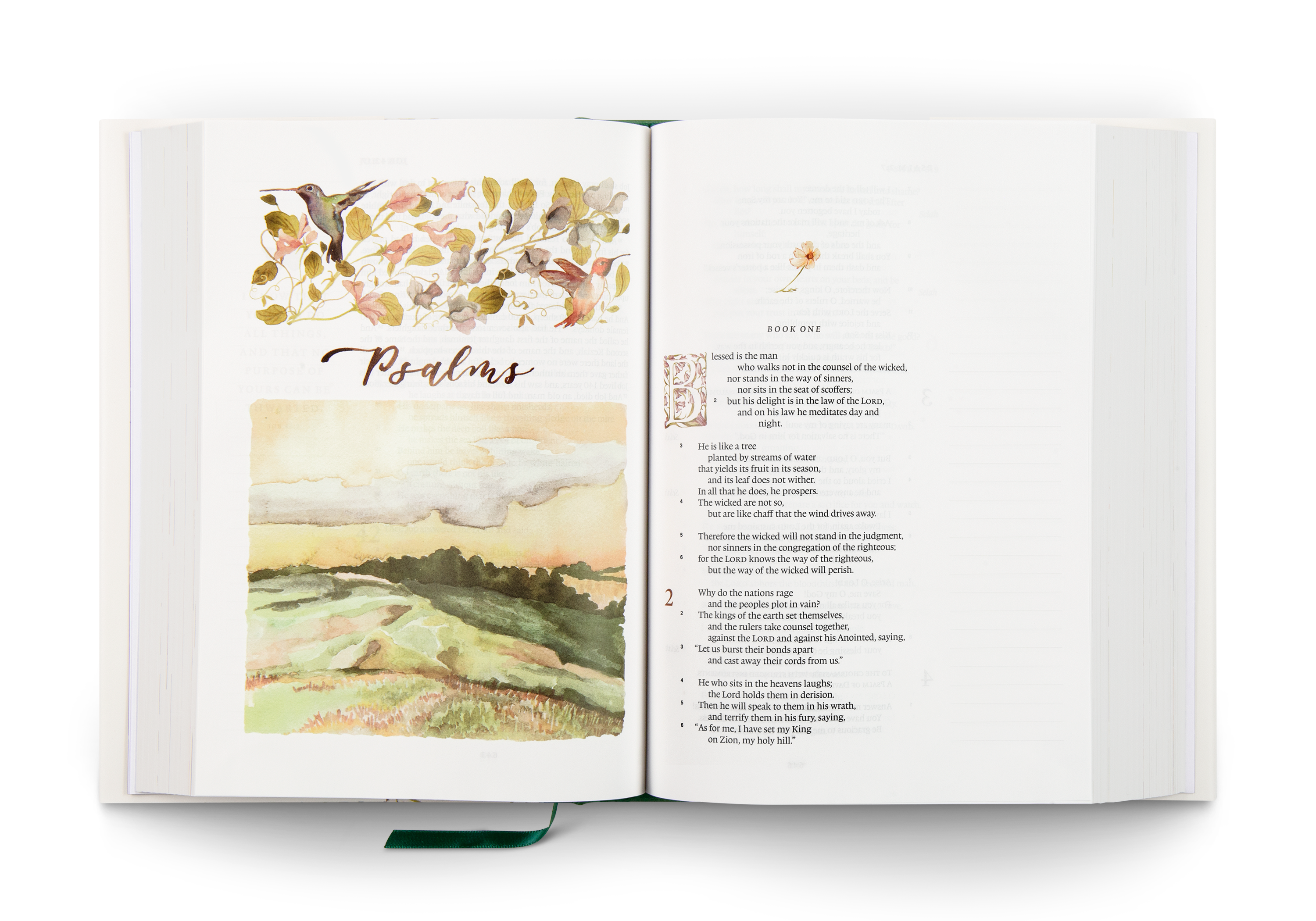 ESV GraceLaced Bible, HC (Artwork by Ruth Chou Simons)