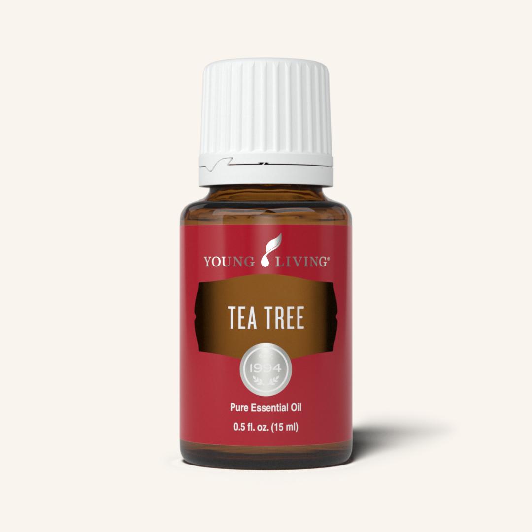 Tea Tree (Melaleuca Alternifolia) Essential Oil | 15ml