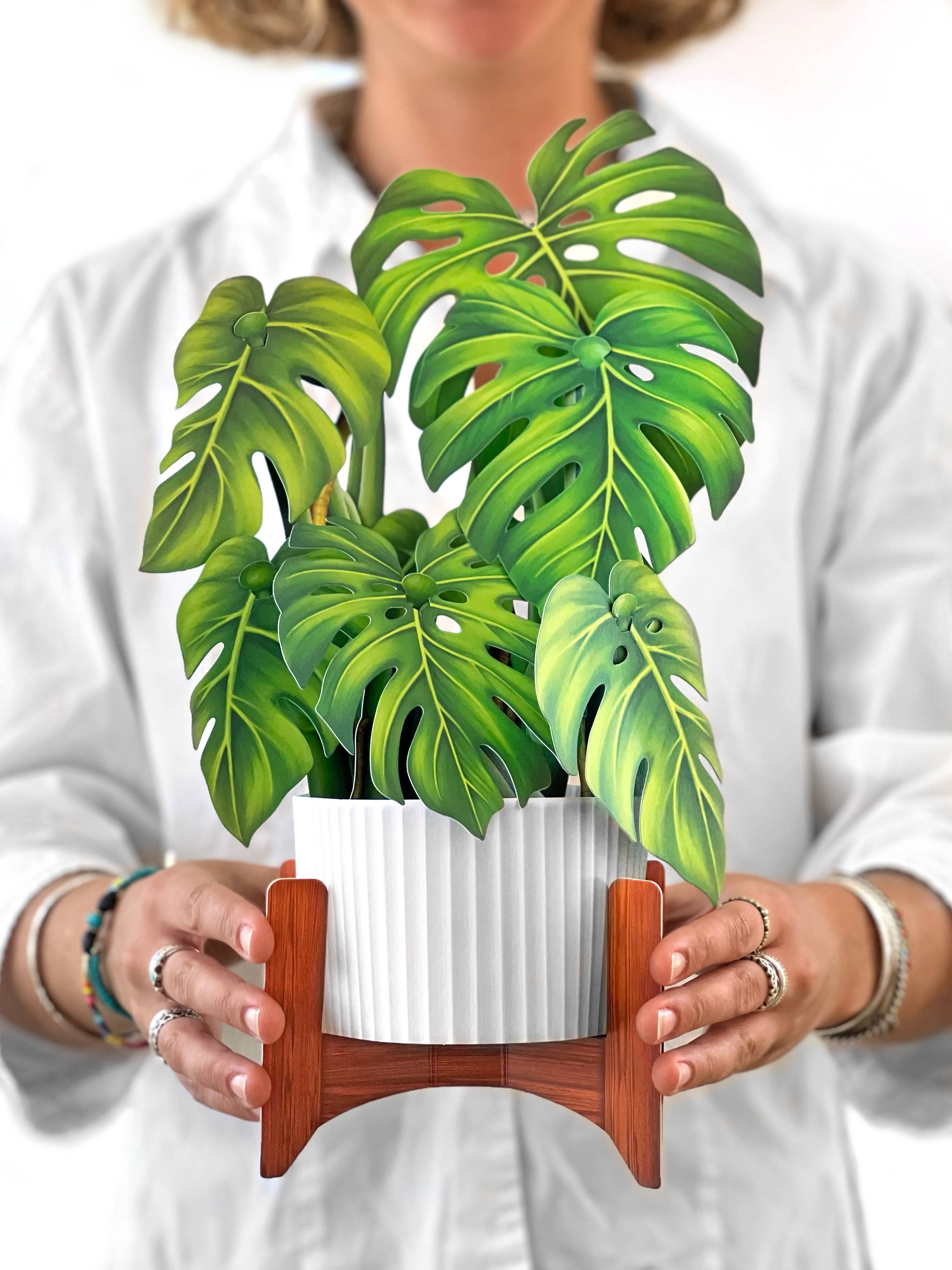 Monstera Plant (Pop-up Greeting Card)
