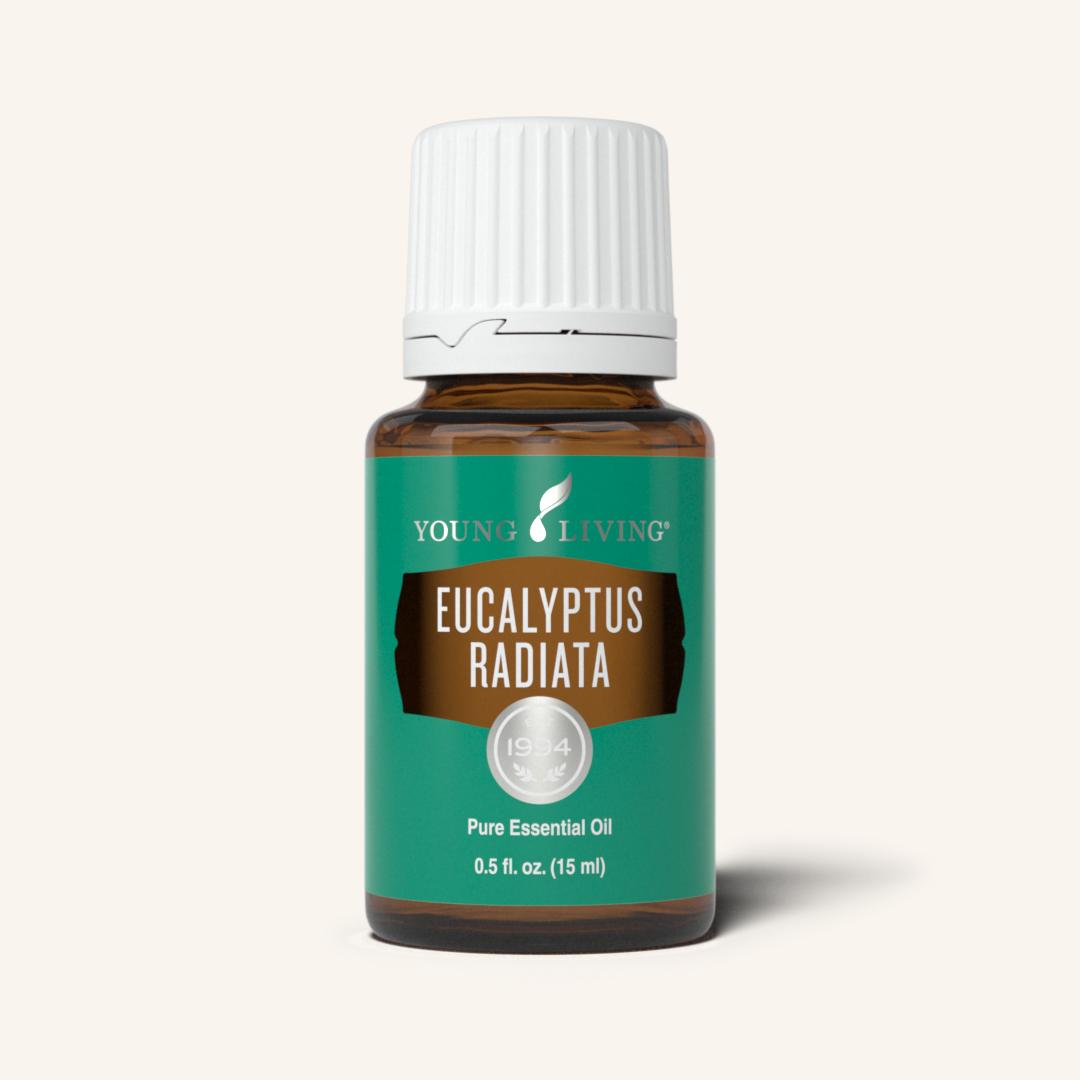 Eucalyptus Radiata Essential Oil | 15ml