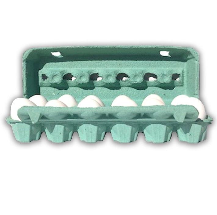 Teal Egg Cartons