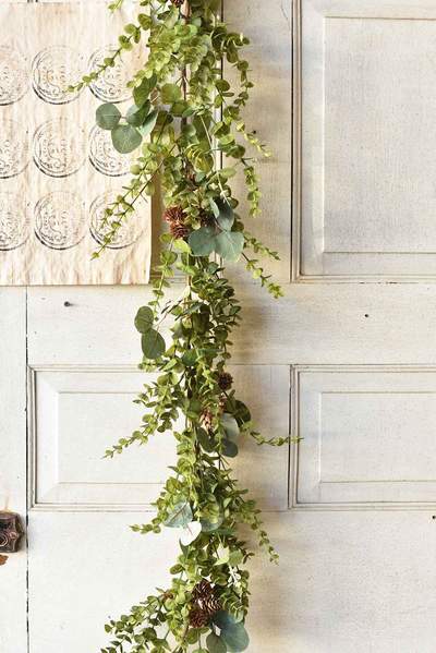 Cascading Eucalyptus