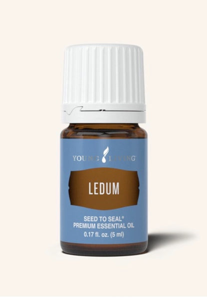 Ledum Essential Oil | 5ml