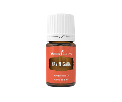 Ravintsara Essential Oil - 5ml