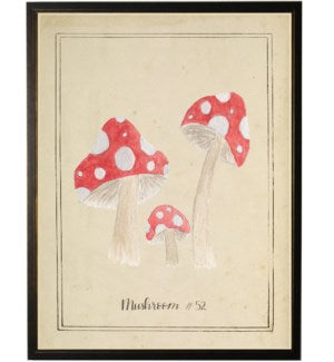 Mushrooms