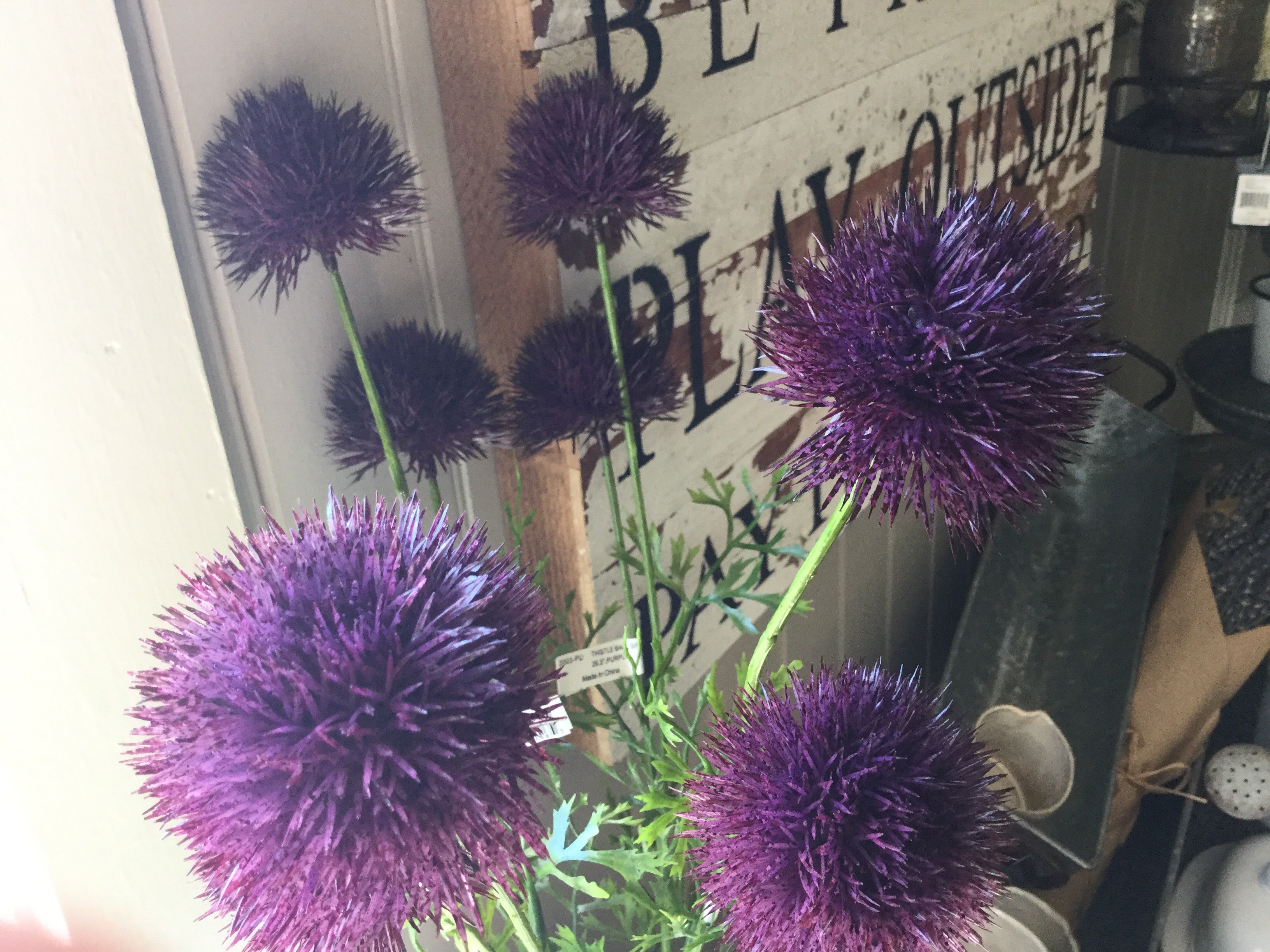 Blooms