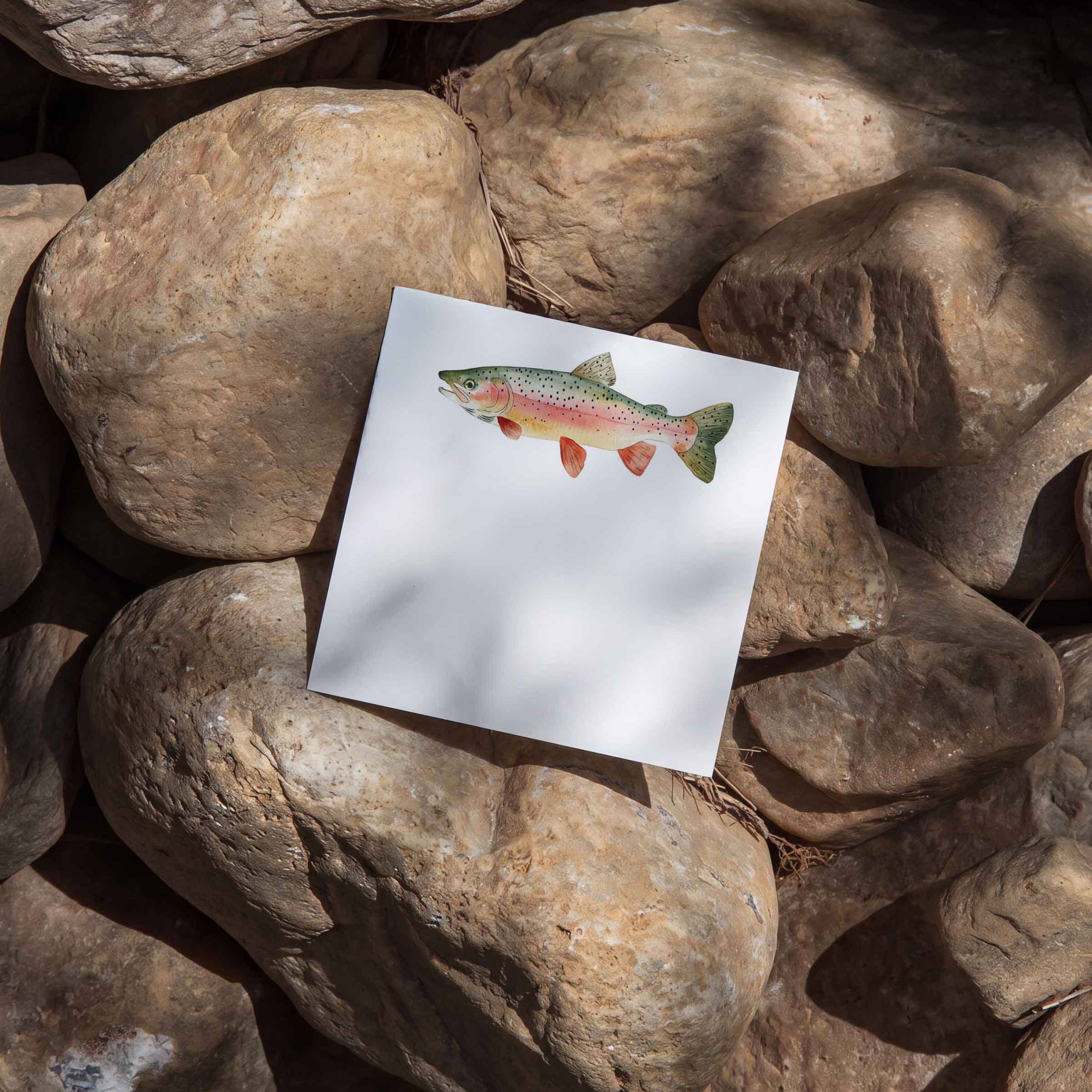 Rainbow Trout - Box of 50 Mini Notes