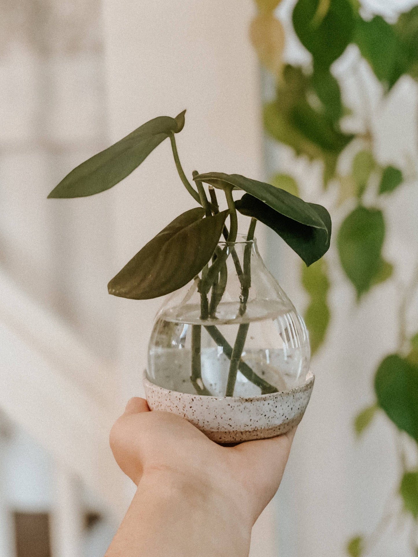 Ceramic Plant Propagation Station