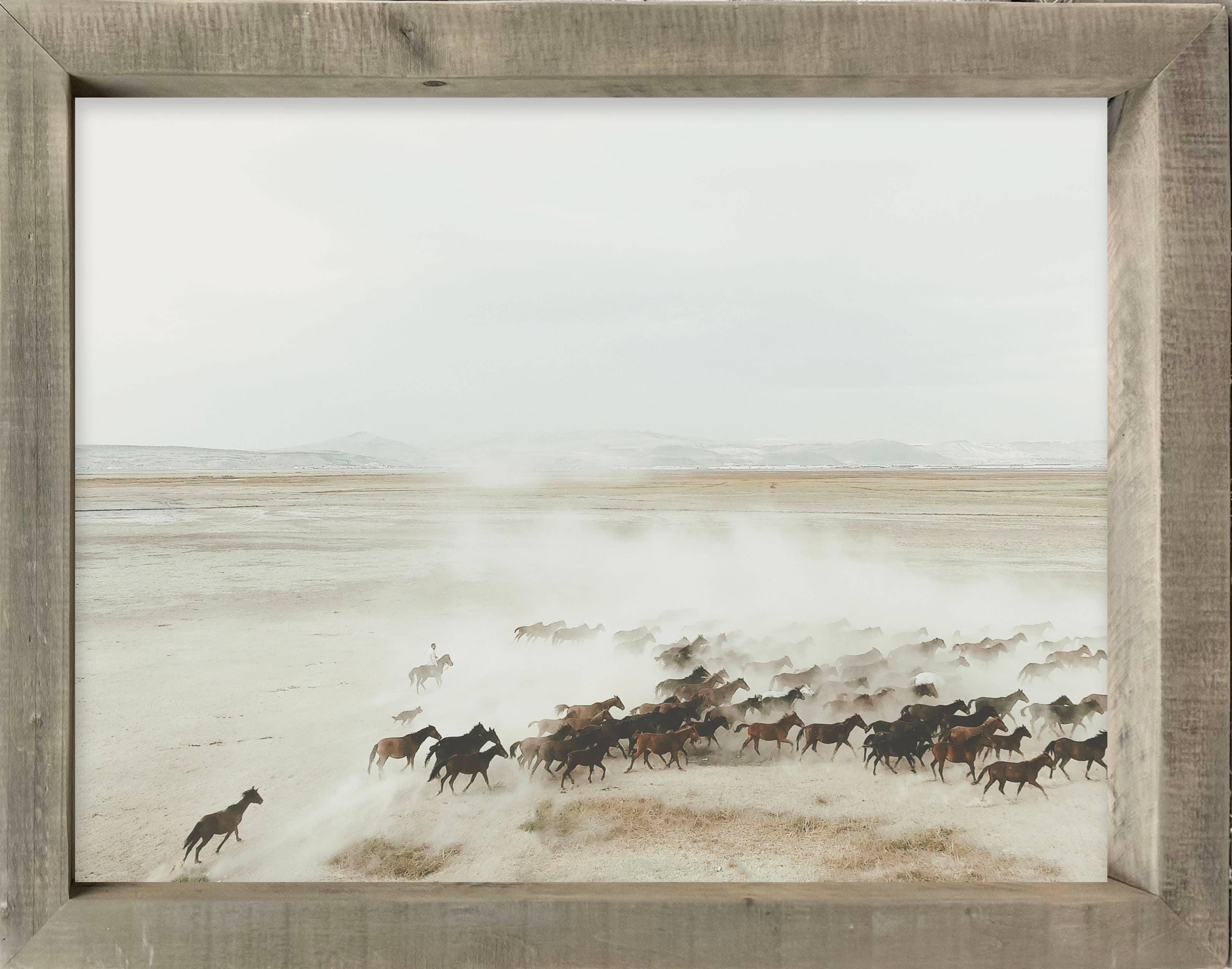 34x44 Timberwood- Horses Running on Plains