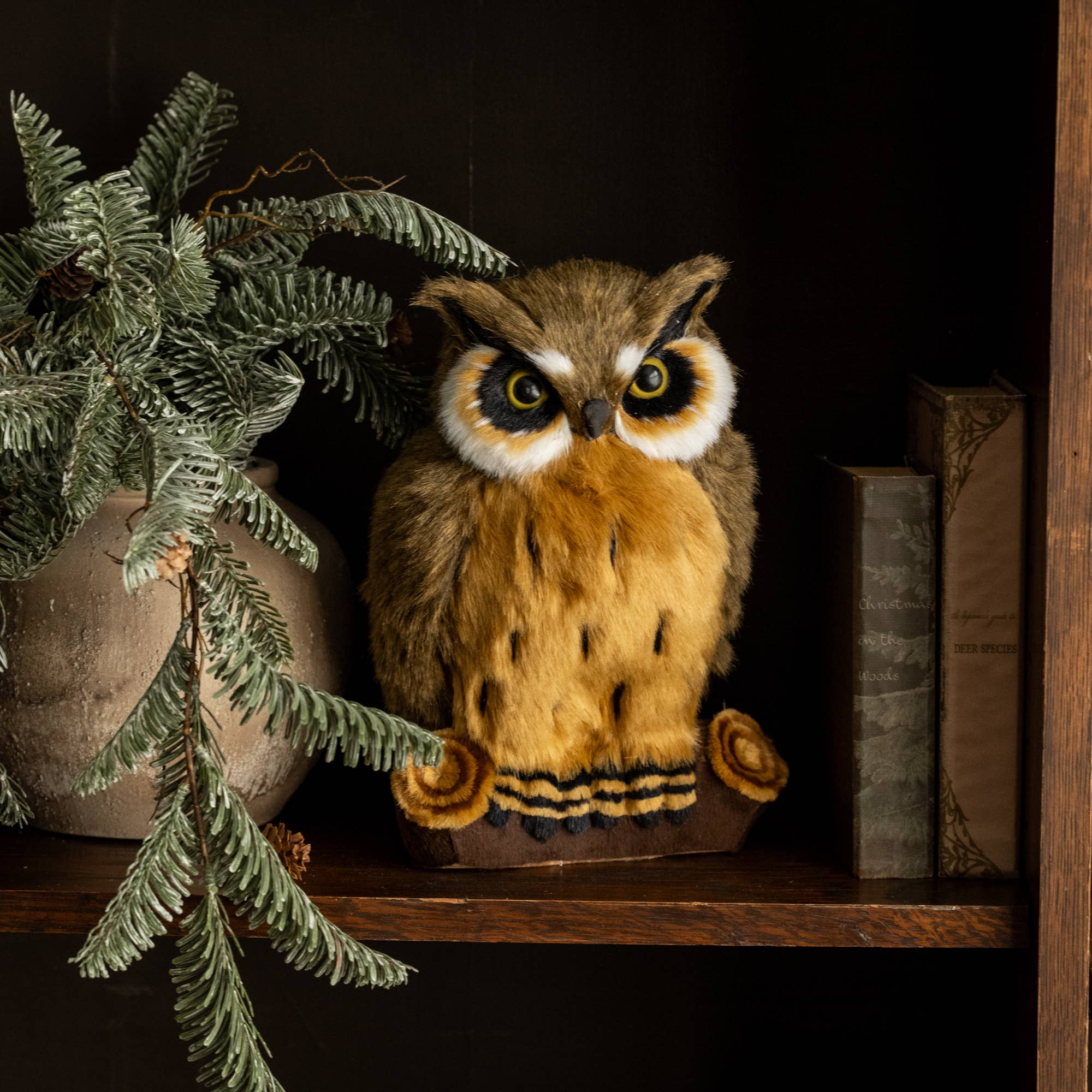 11" GREAT HORNED OWL ON LOG