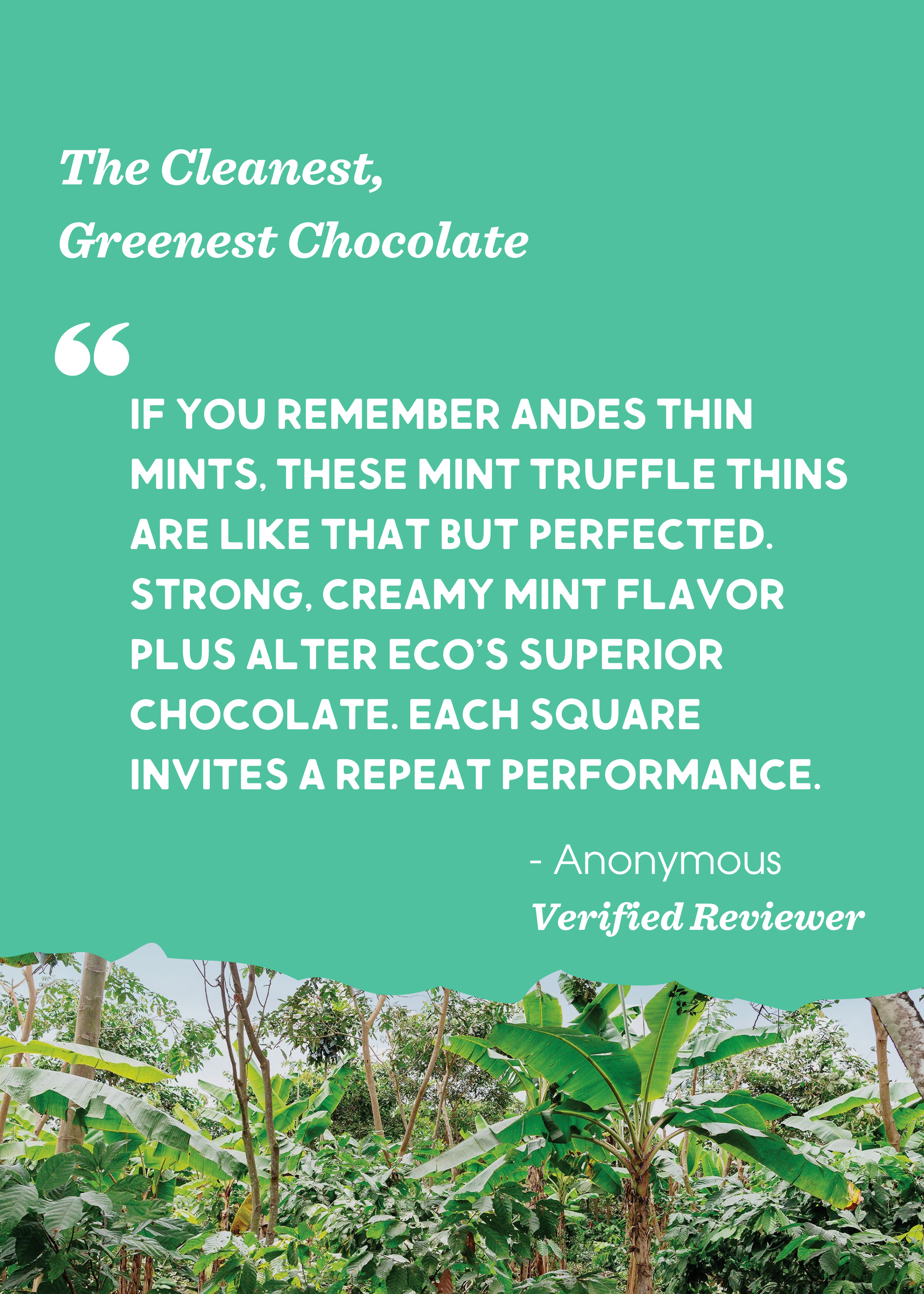 Mint Crème Truffle Thins | Sold Each