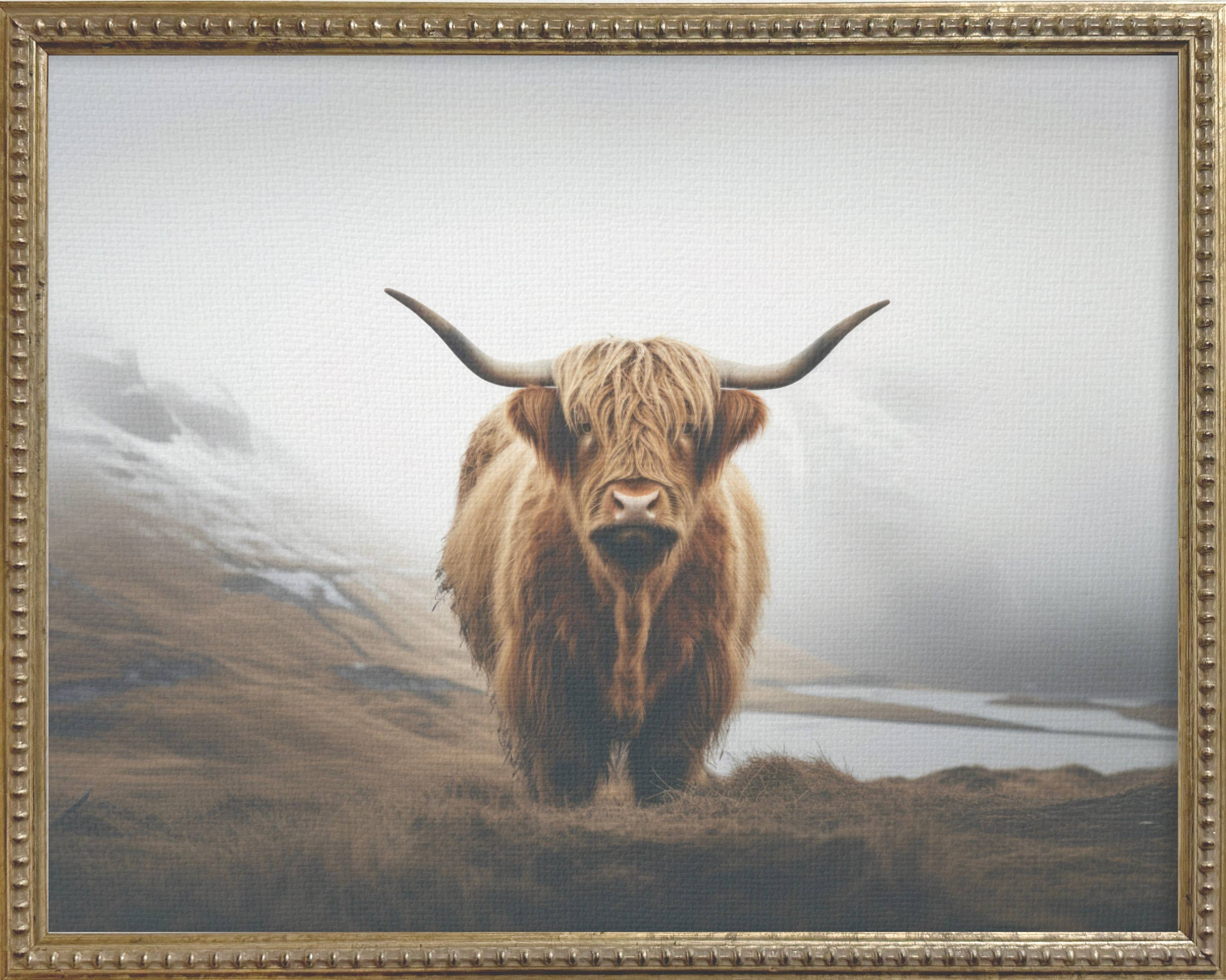 16x20 Gallery Frame - Highland Cow