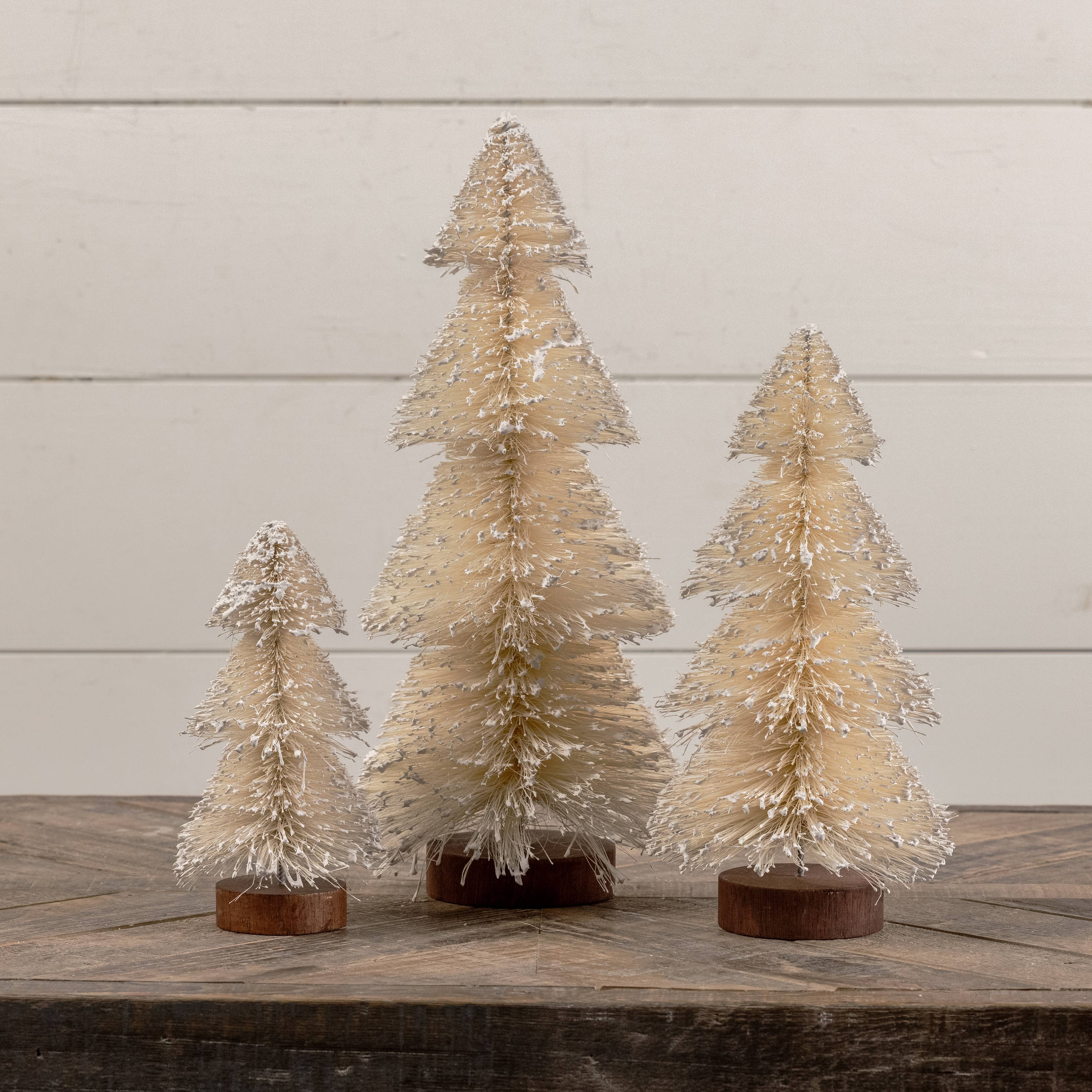SET/ 3 CREAM LAYERED BOTTLEBRUSH TREES