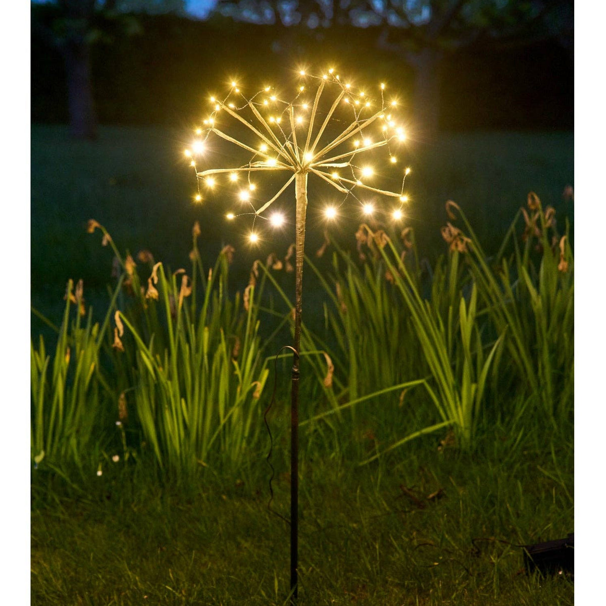 Solar Dandelion Lights