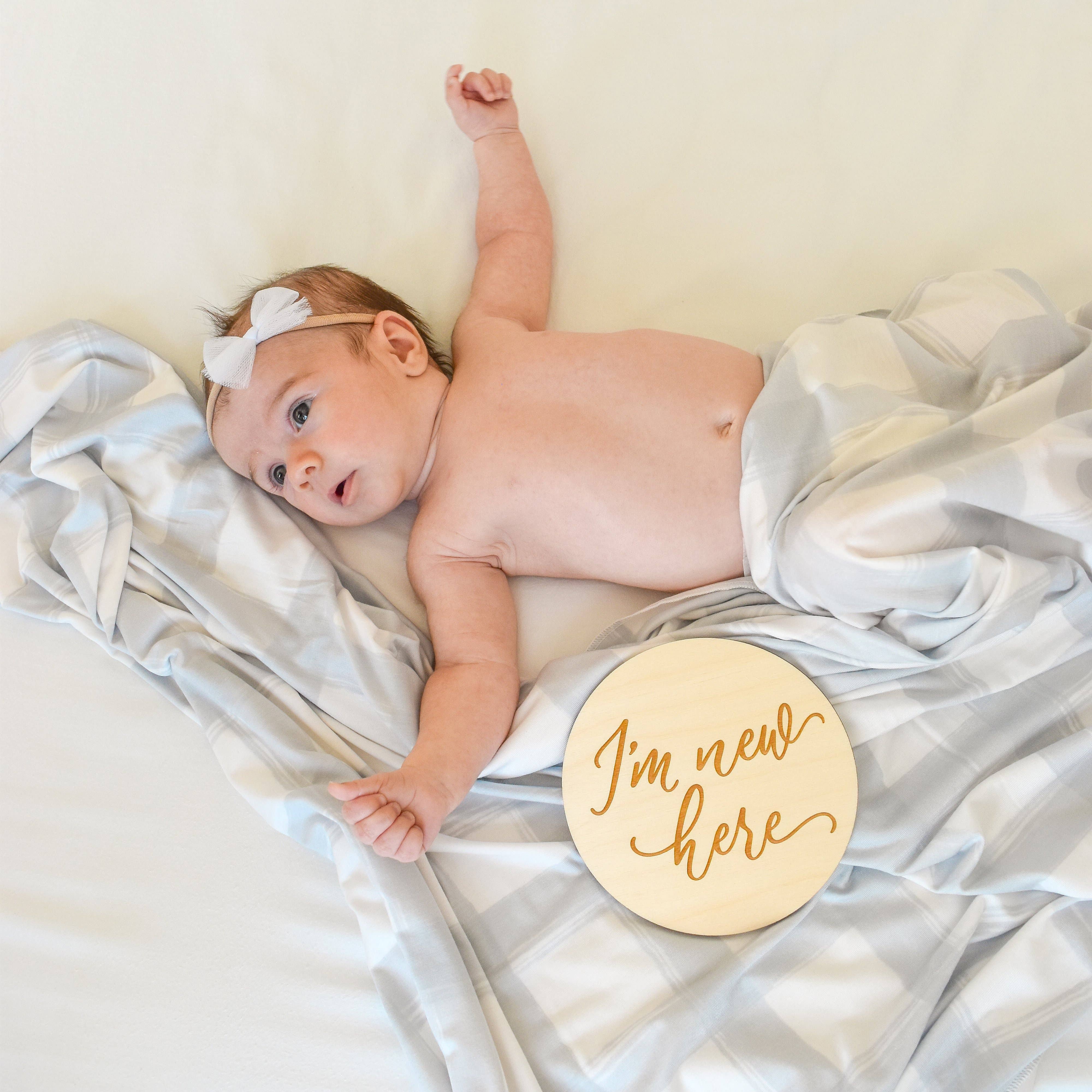 Extra Soft Stretchy Knit Swaddle Blanket: French Gingham