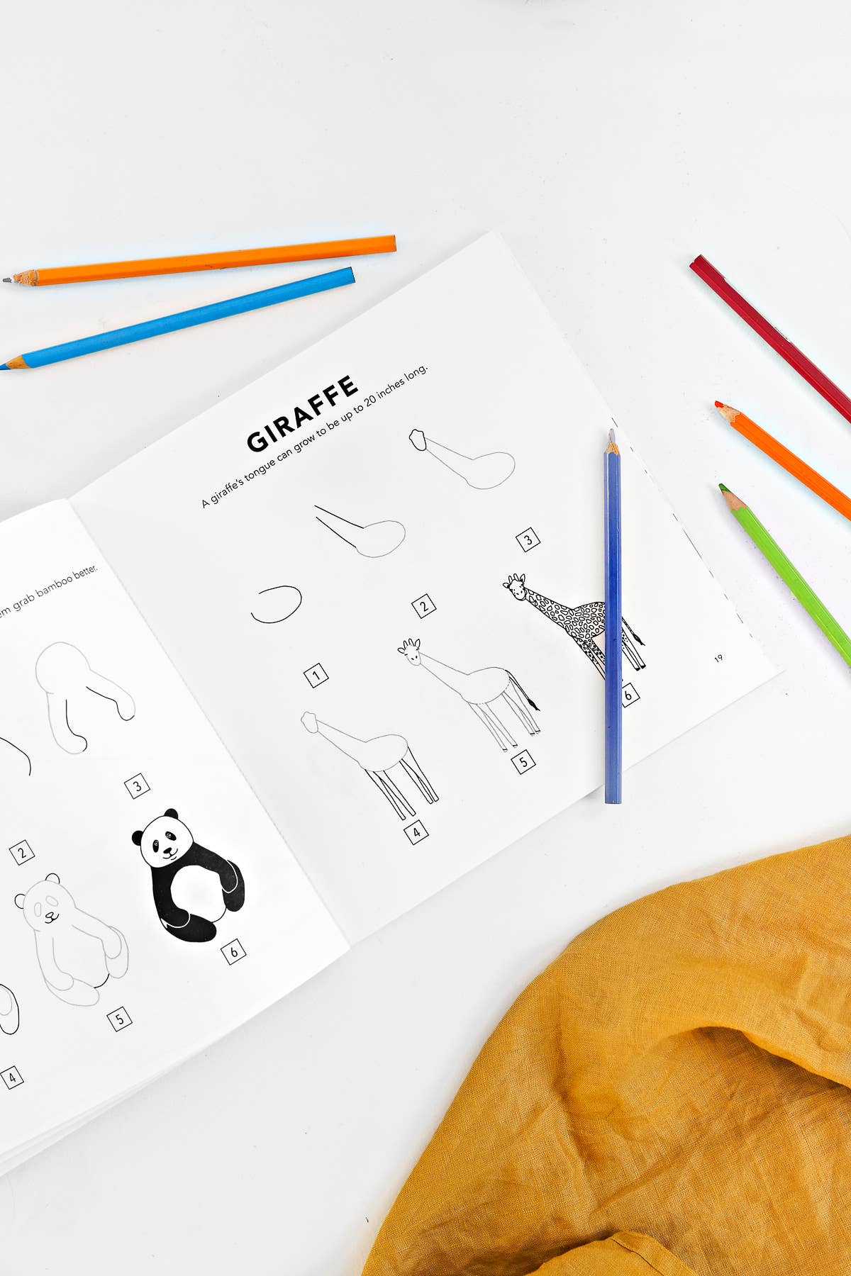 All the Animals: A Stocking Stuffer Sized How to Draw Book